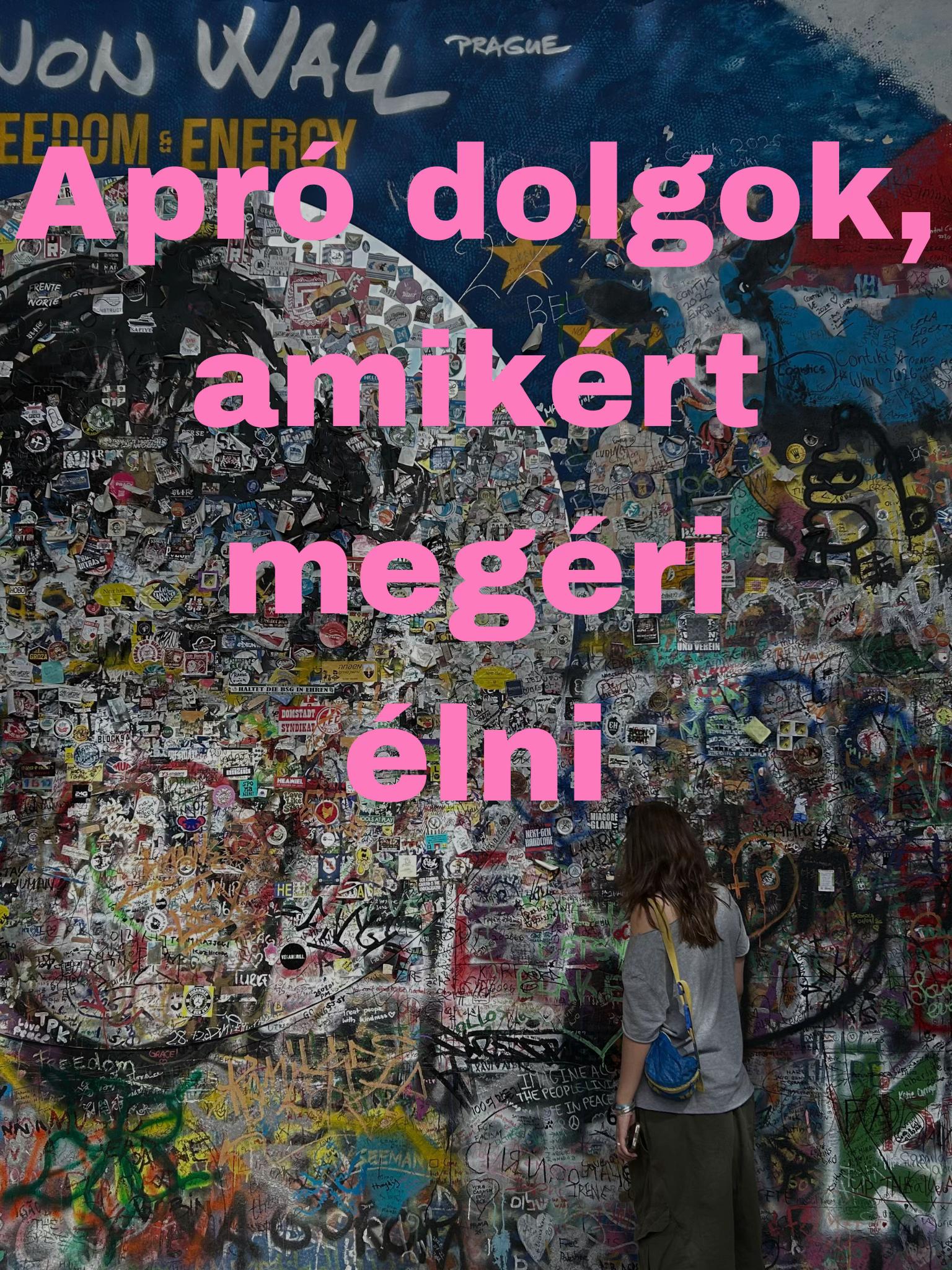 @an0rexi@_gyógyulás_borival