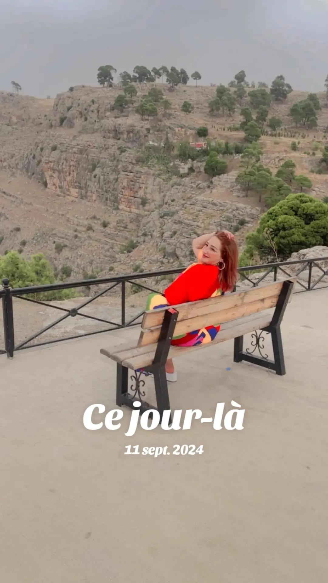 @Alia Alyouta