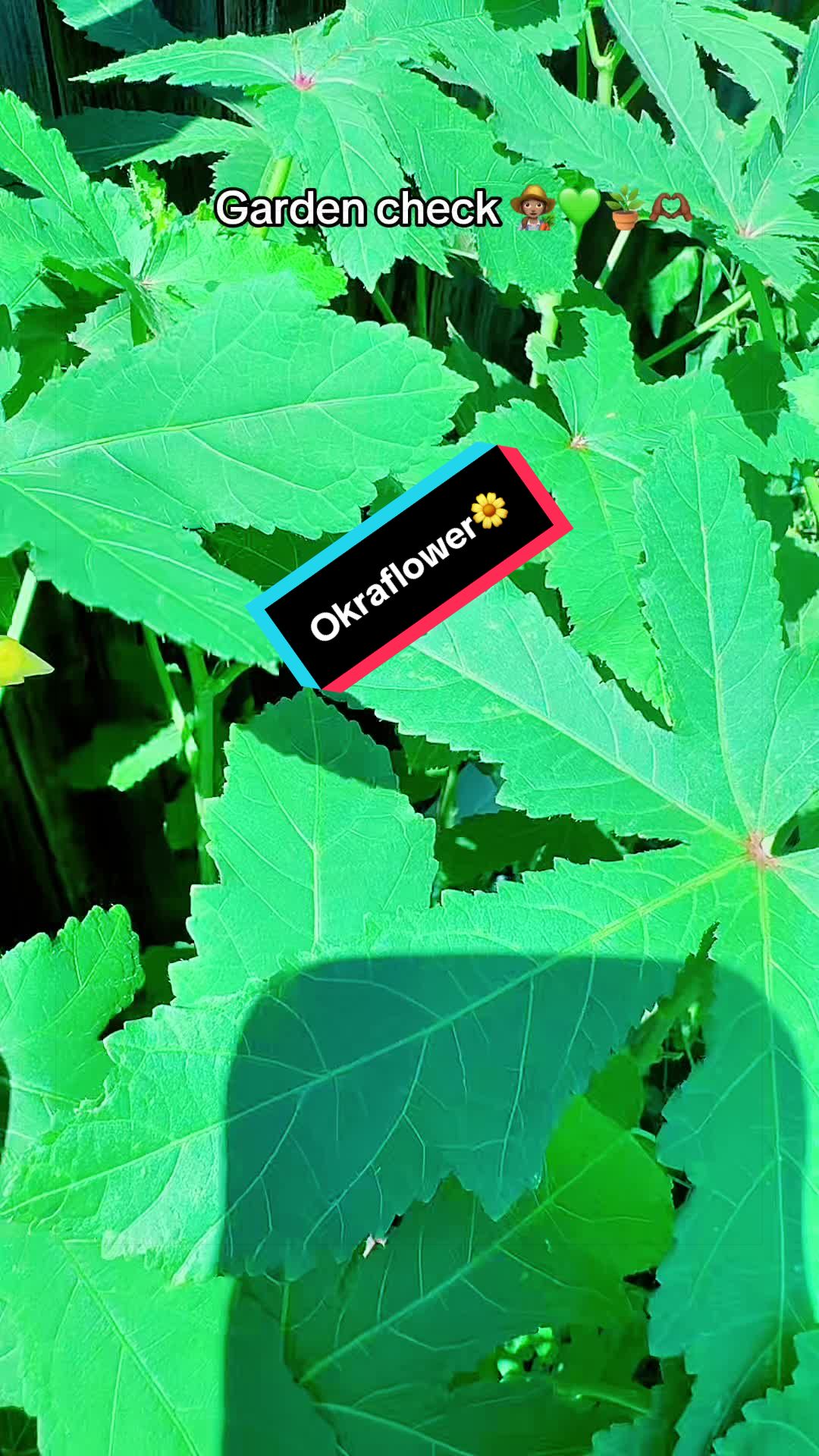 @TeeTee ❌♋️🦀