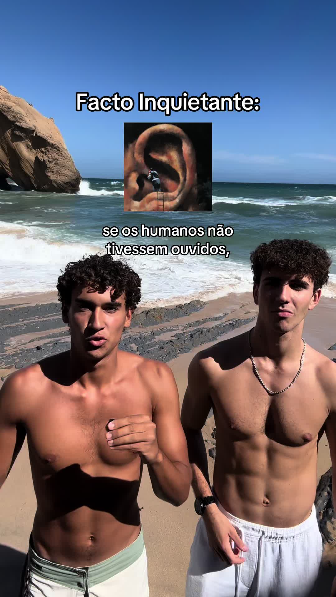 @Rodrigo Lucas