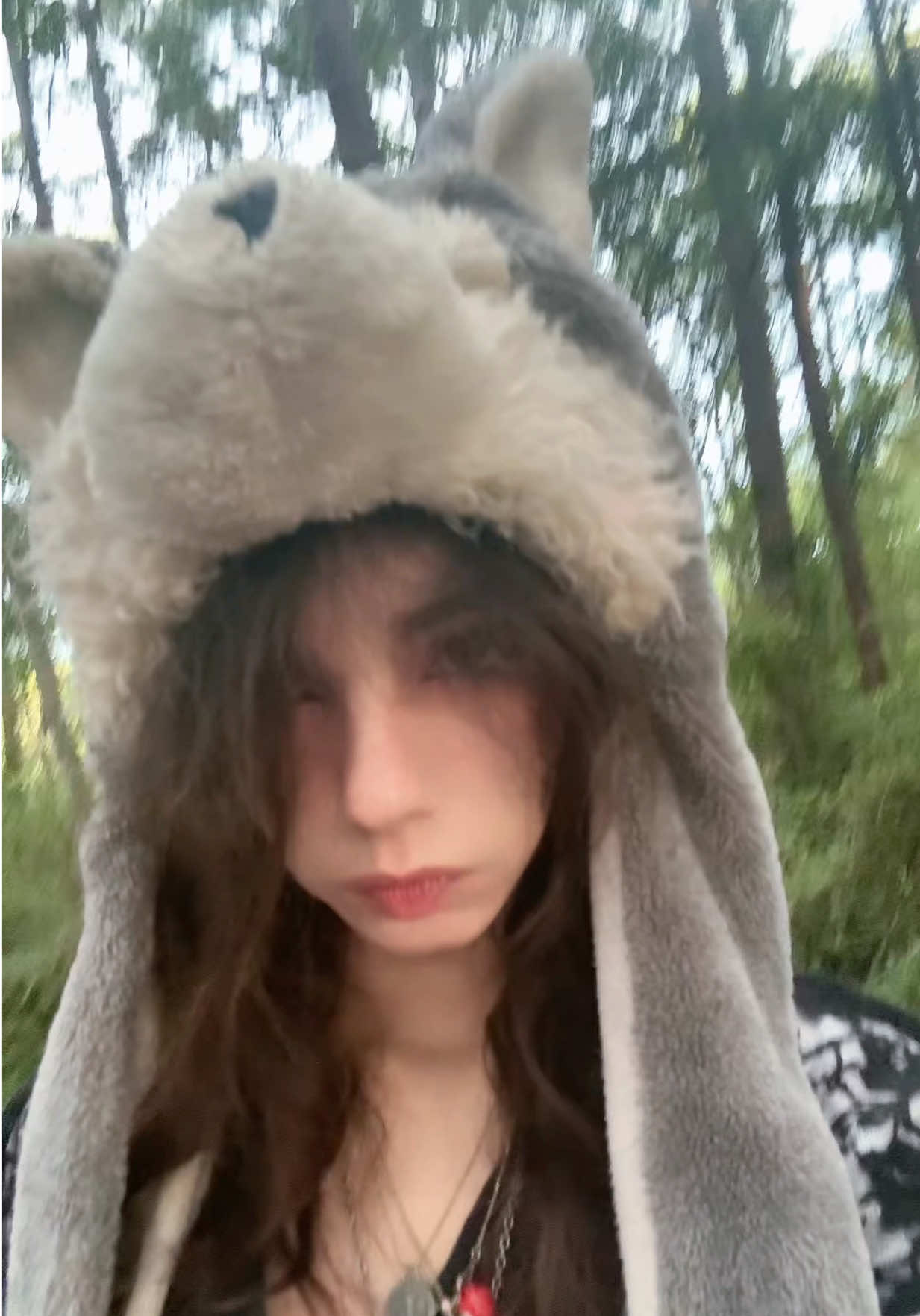 @True fairy jane