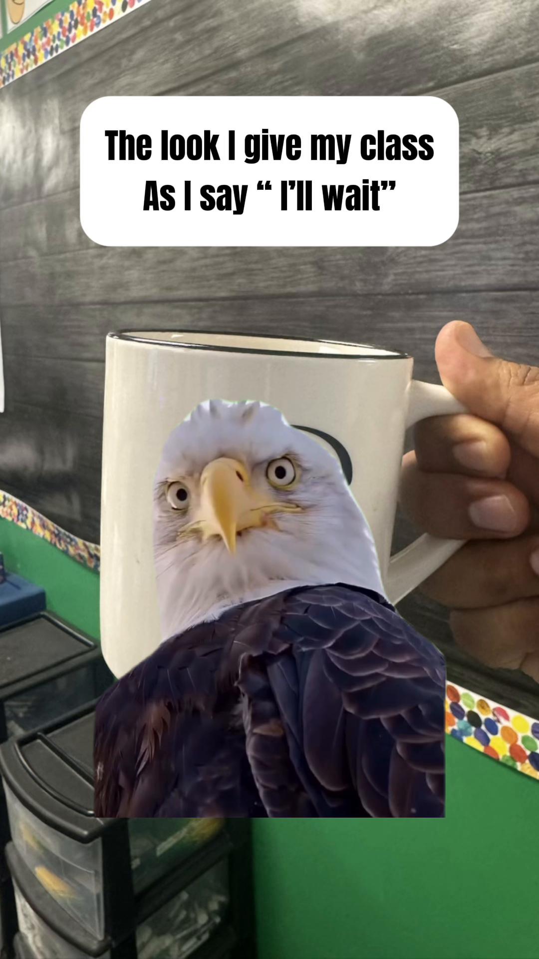@LearningWithMrG
