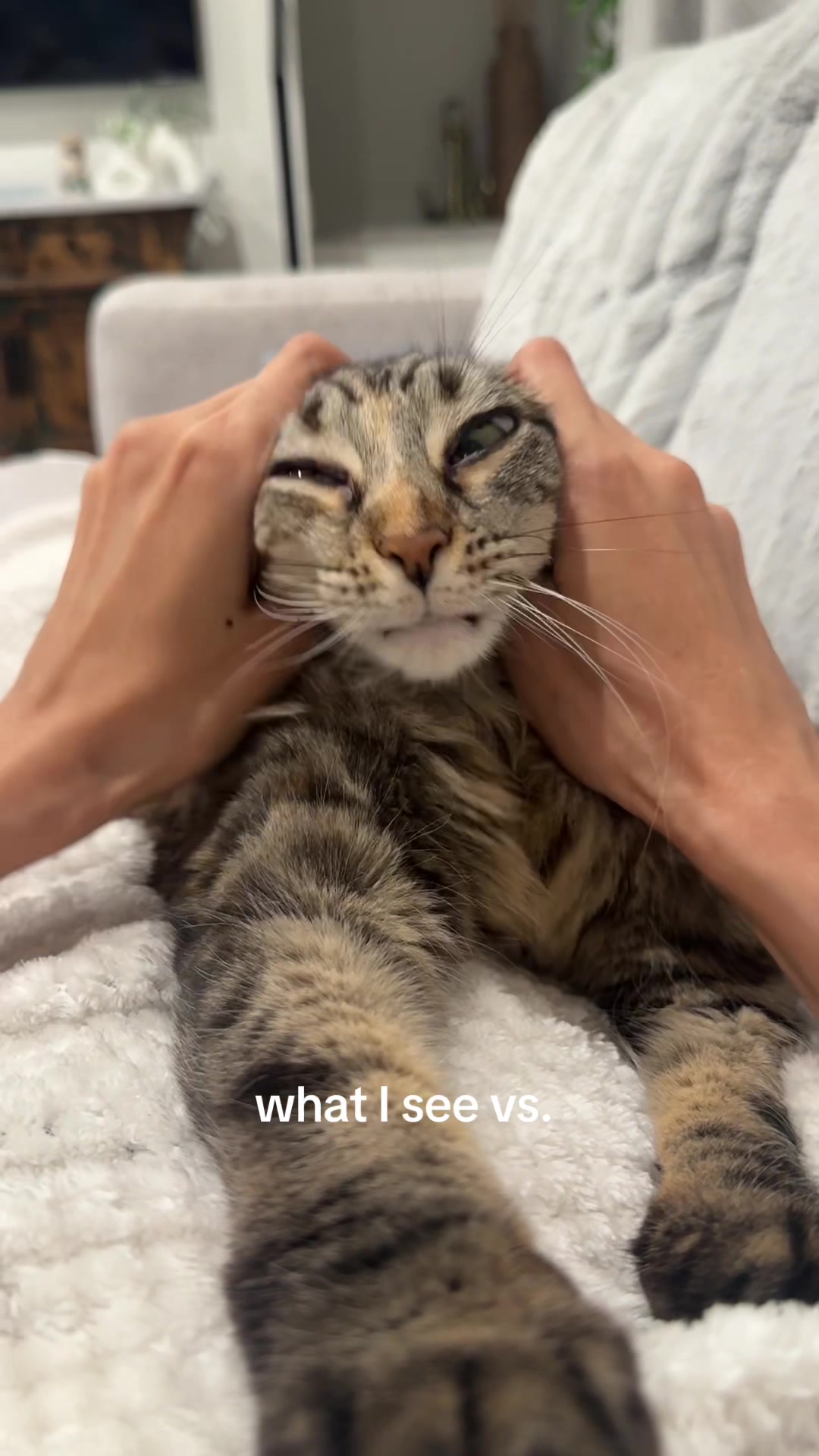 @Megan Li Wang