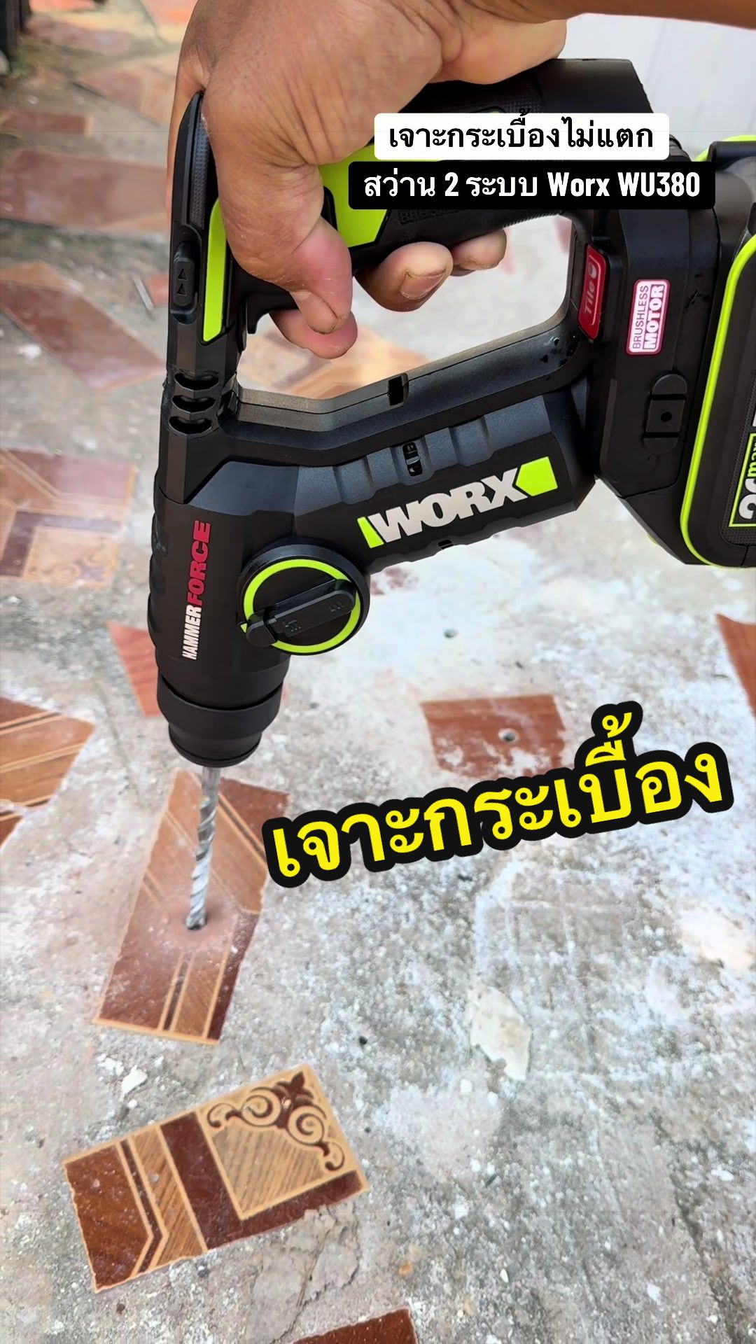 @อ้น บ้านทองกวาว
