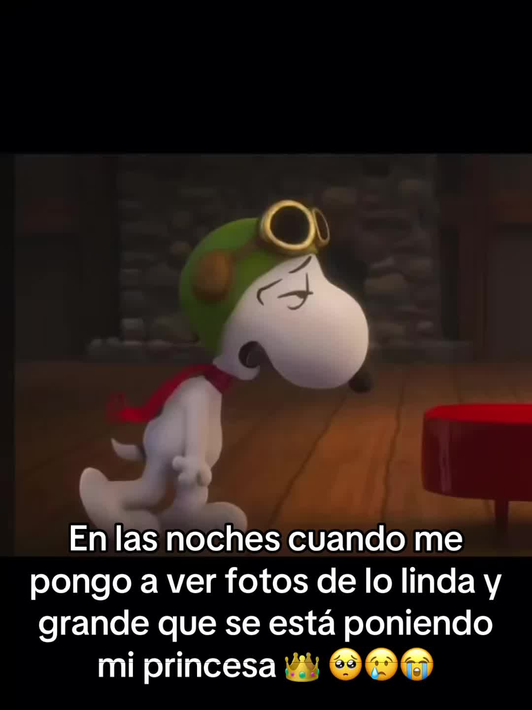 @Dianita Rosa 🧸❤️❣️👑