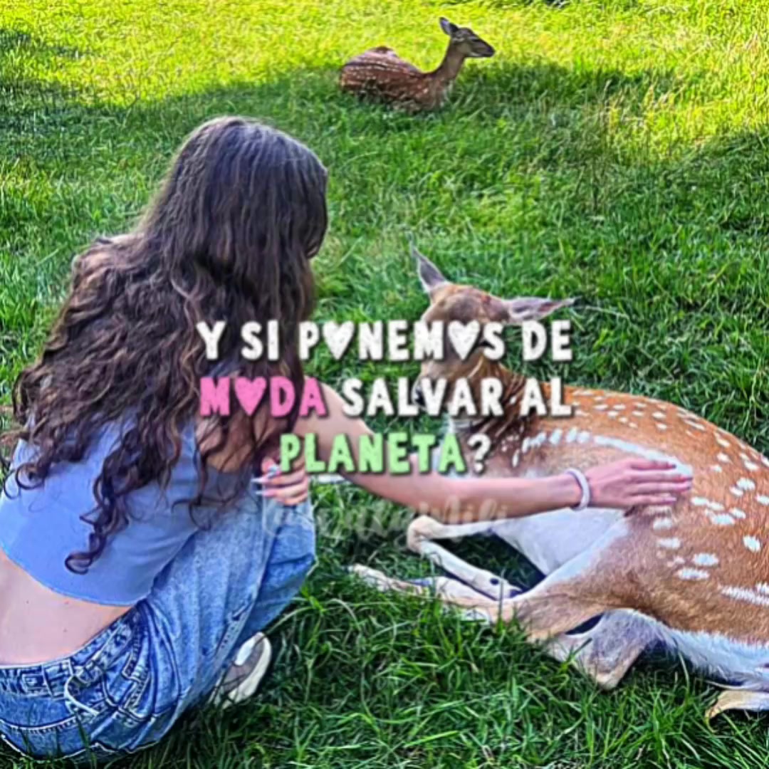 @⚝ ⸼ ࣪ 𝐖𝐀𝐋𝐘_𝐌𝐈𝐋𝐈 ׅ ⊹🐰