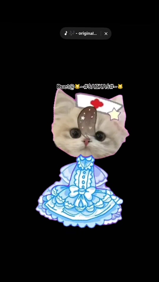 @▄︻デnyanദ്ദി◍˃ ᵕ ˂◍)══━一