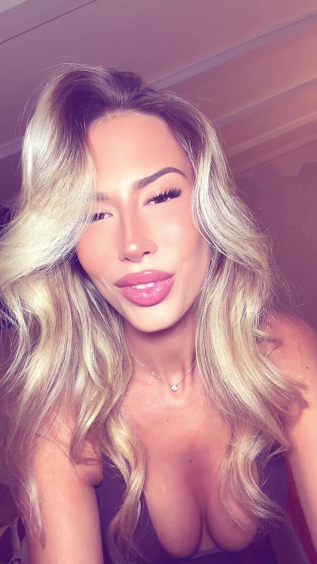 @alidipollo_