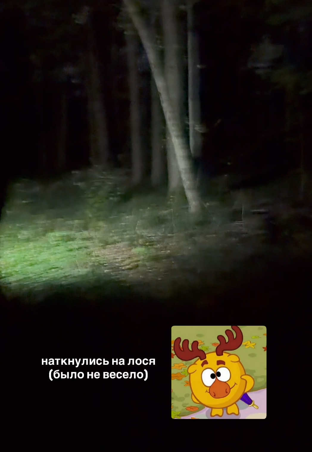 @Ирада, которая всегда рада