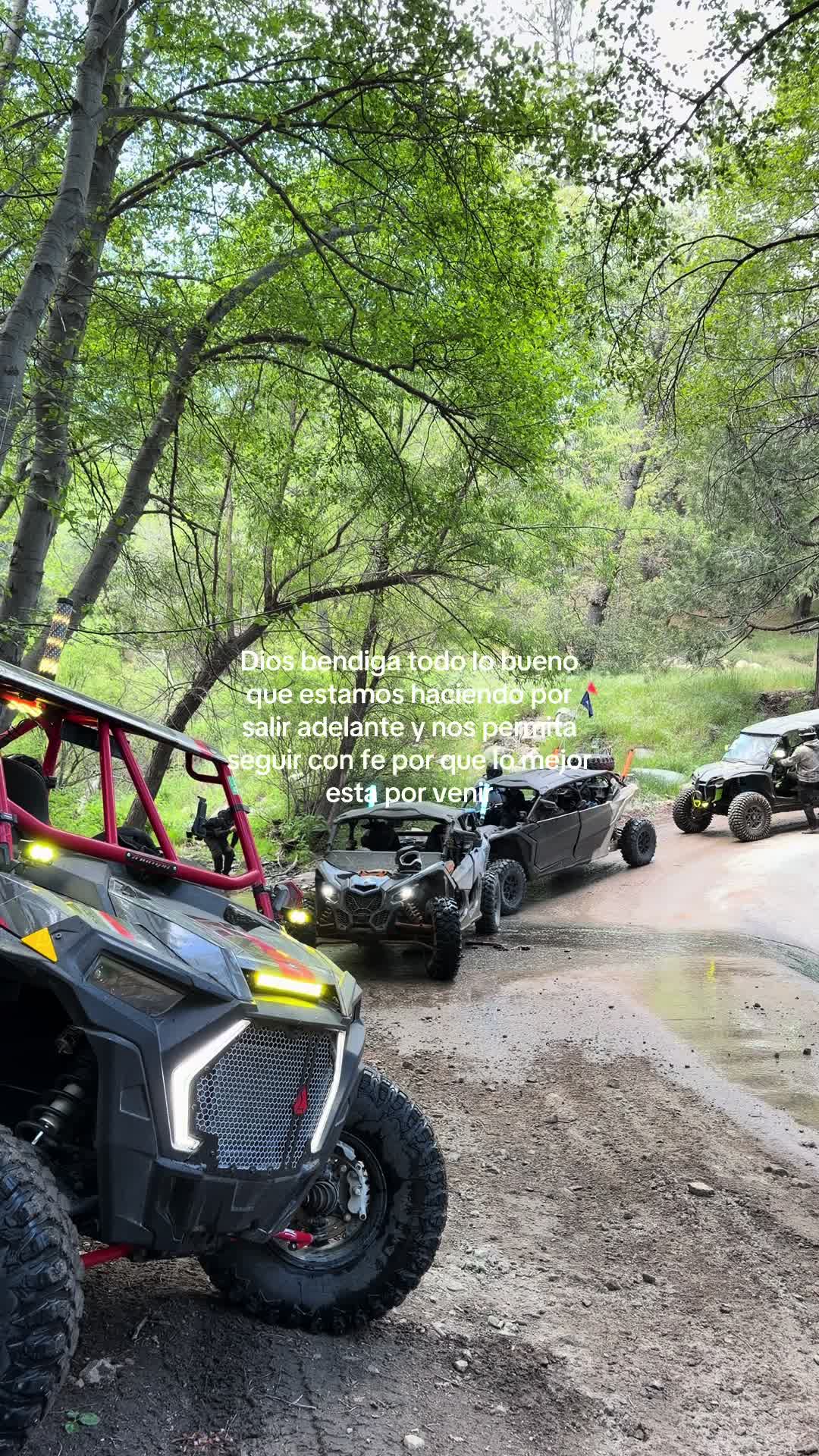 @Mr. Ghost Rentals