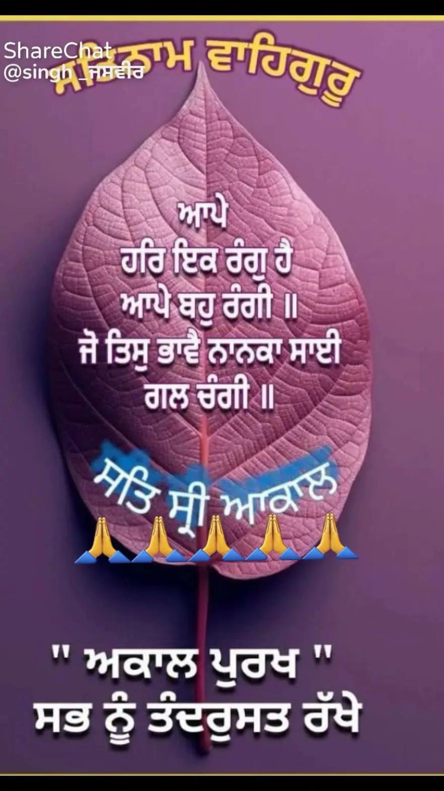 @sarb568