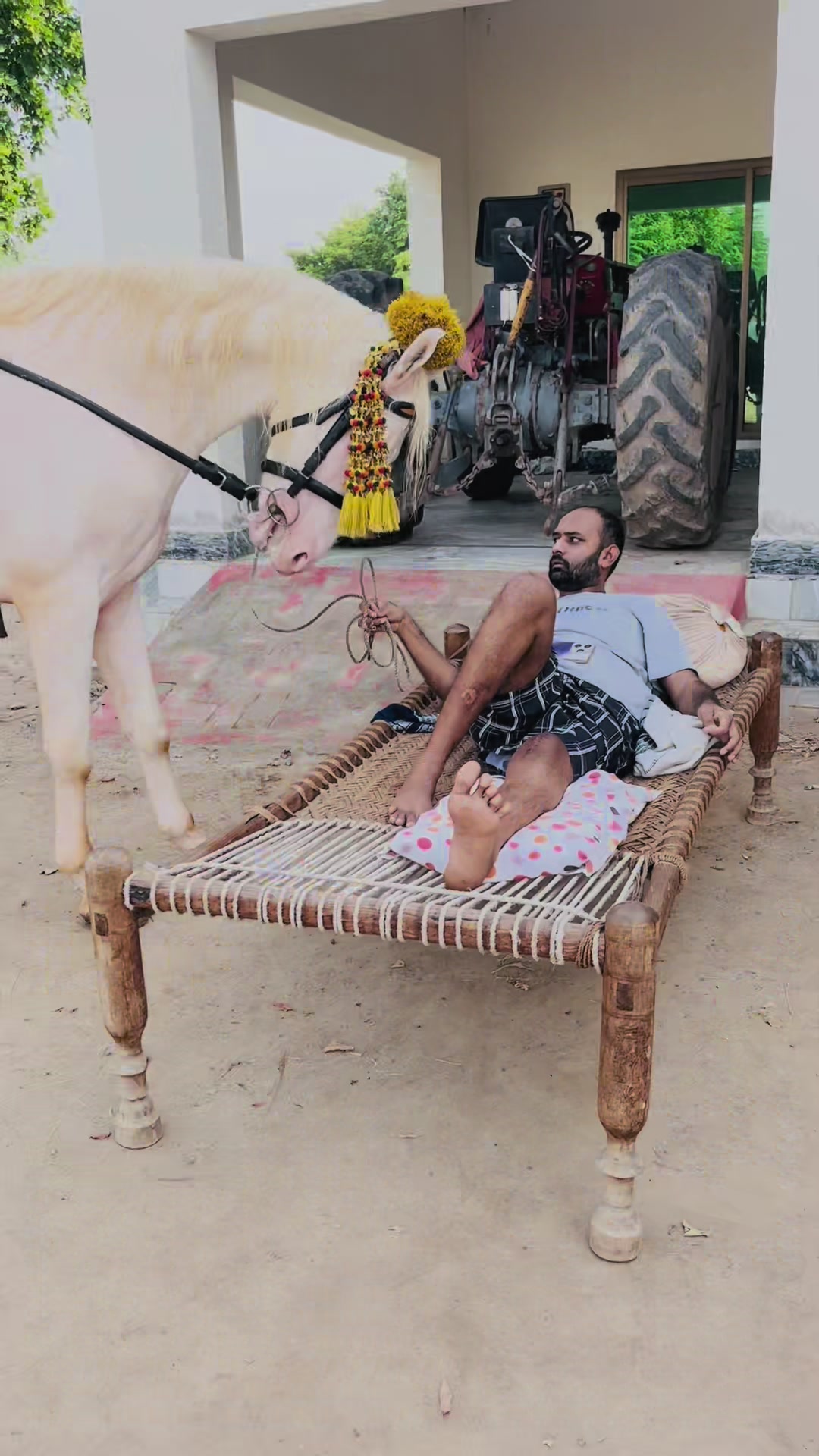 @رانا وقار اشرف 🐎