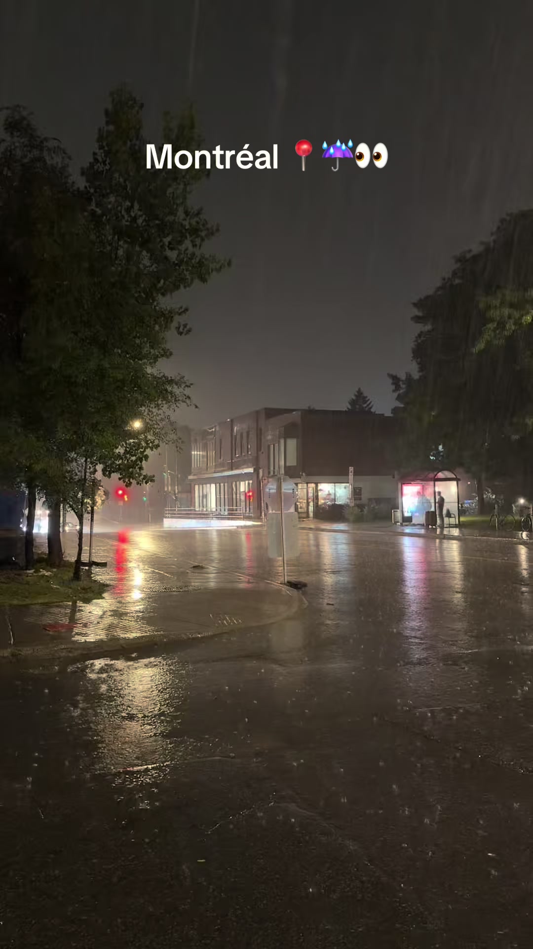 @Montr&eacute;al Stories