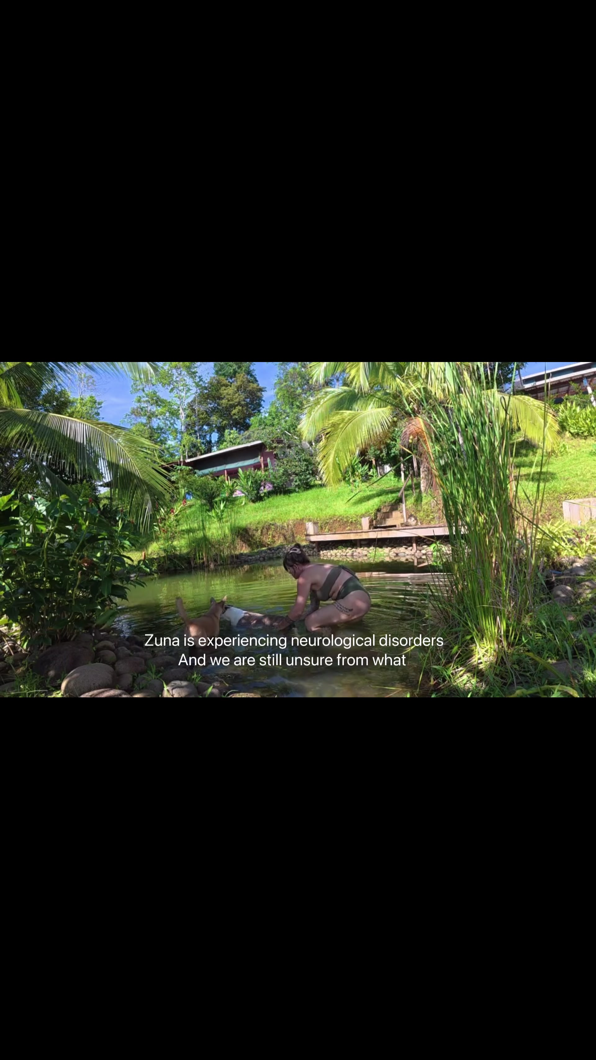 @Chel