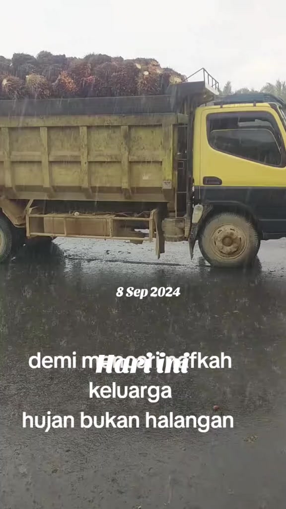 @kafidudin86