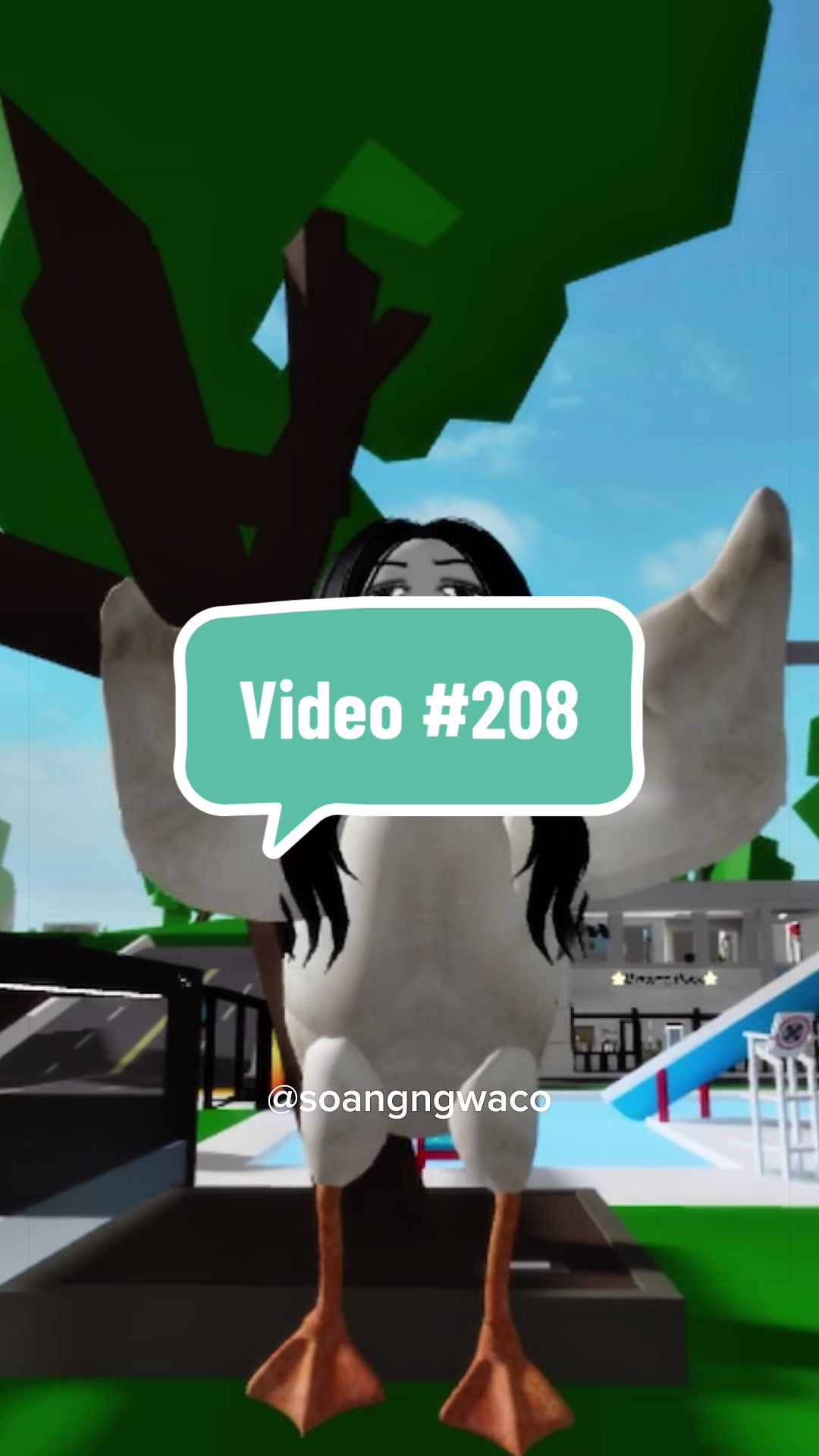 @SoangNgwaco
