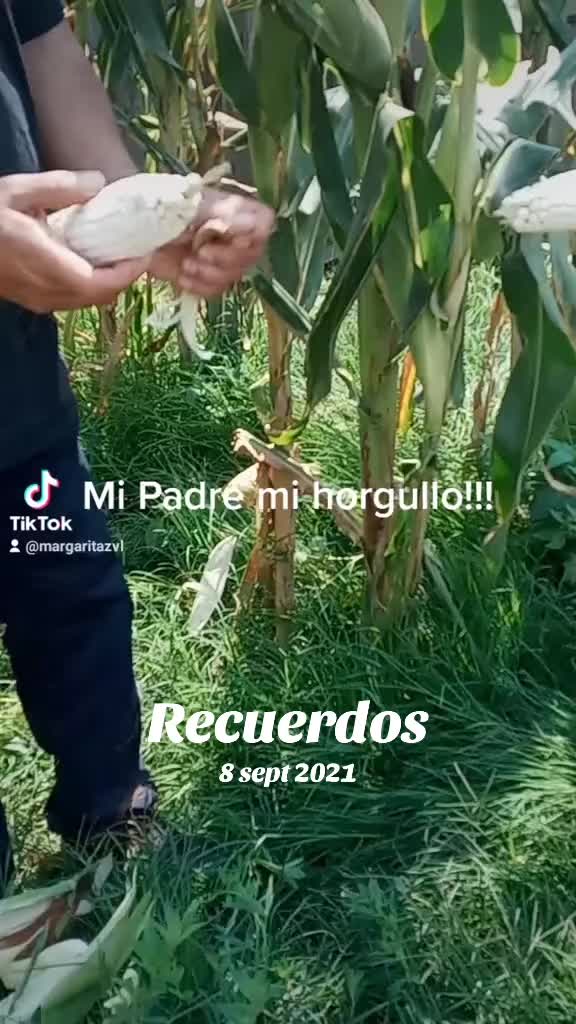 @MalQuerida67387#5