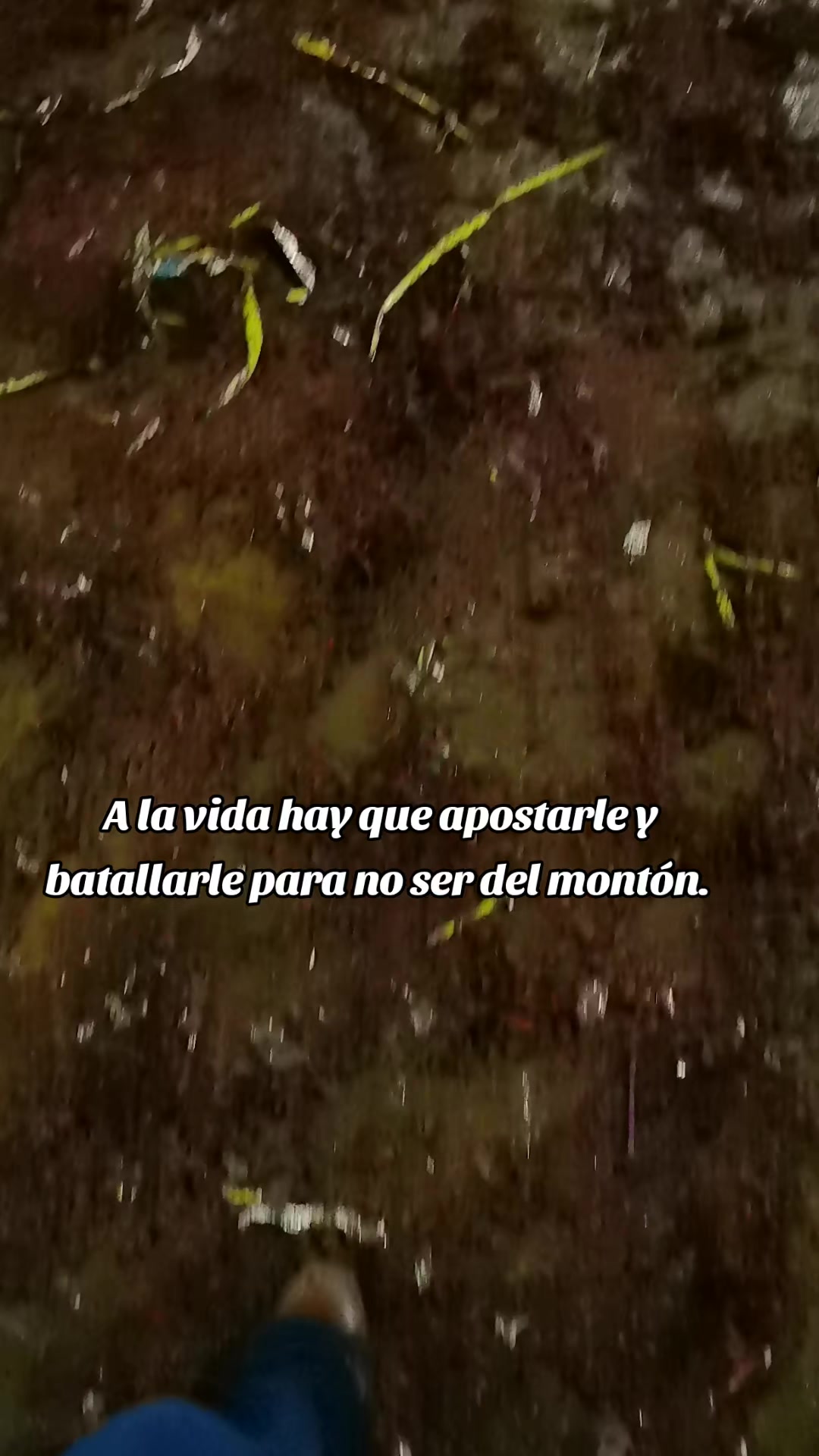 @Rosario Barrag&aacute;n