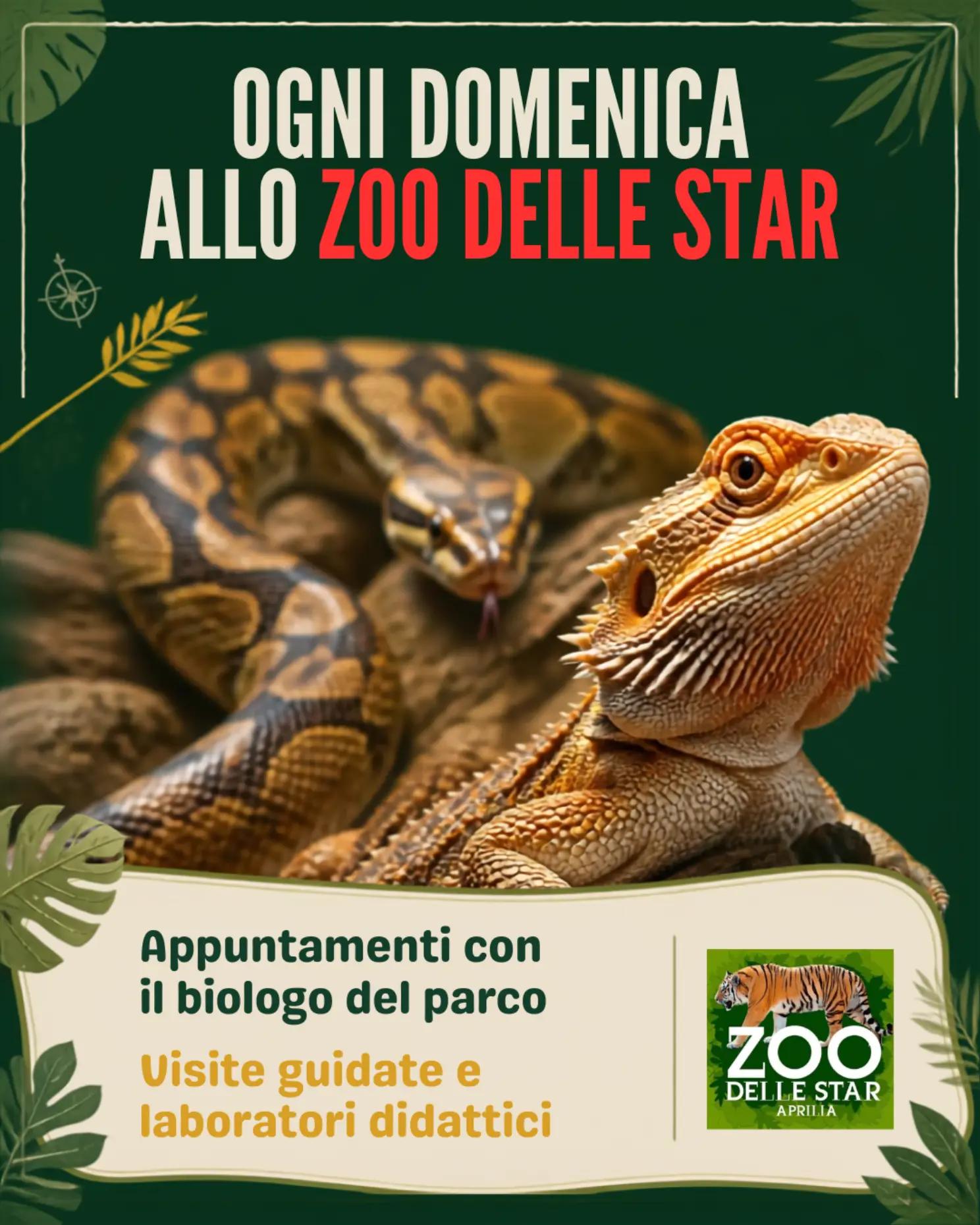 @Parco Zoo delle Star