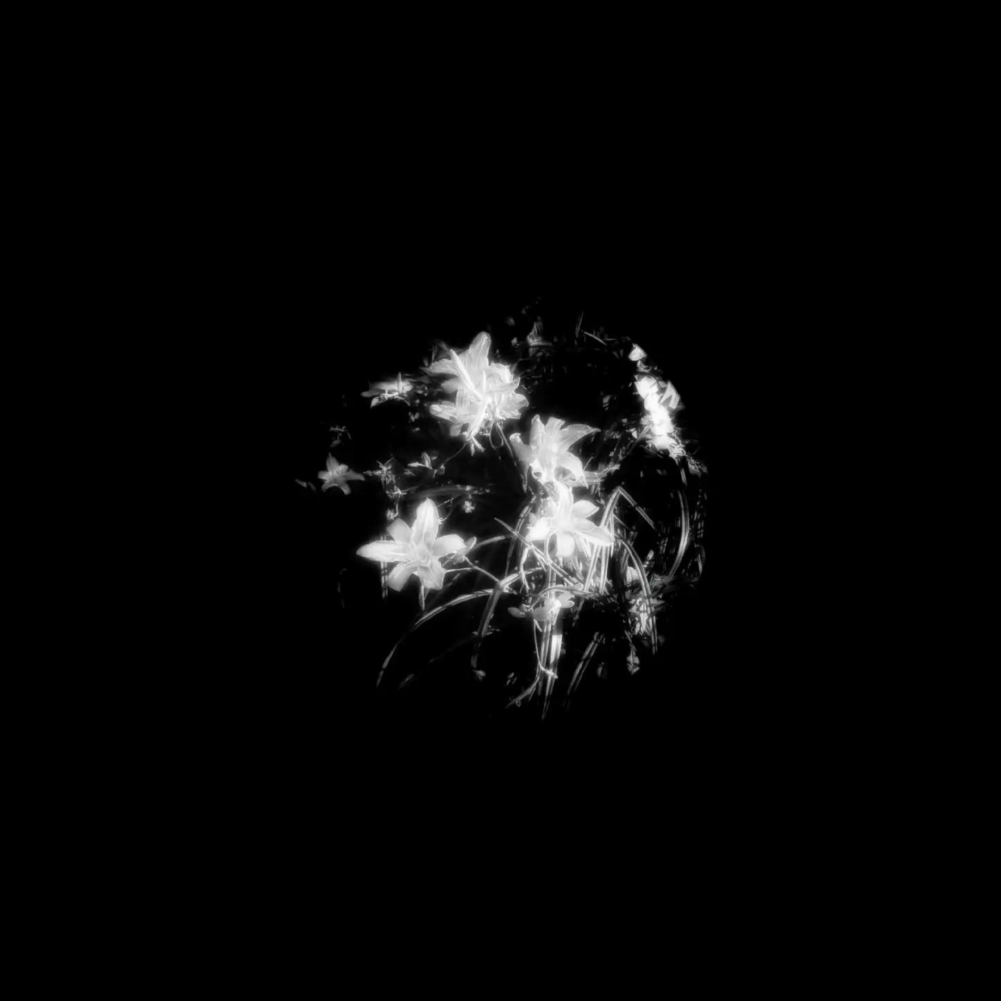 @⭒ᵎᵎ.Ɲ𝐞𝒔𝒔.୨ৎ