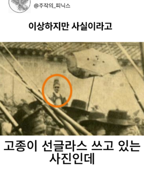 @주작의 피닉스