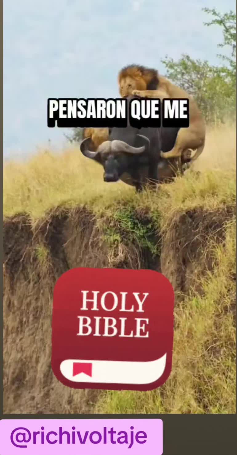 @ESENCIA PURA