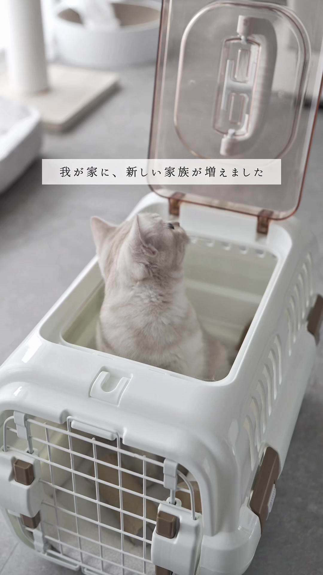 @あす | 一人暮らしを快適に💭