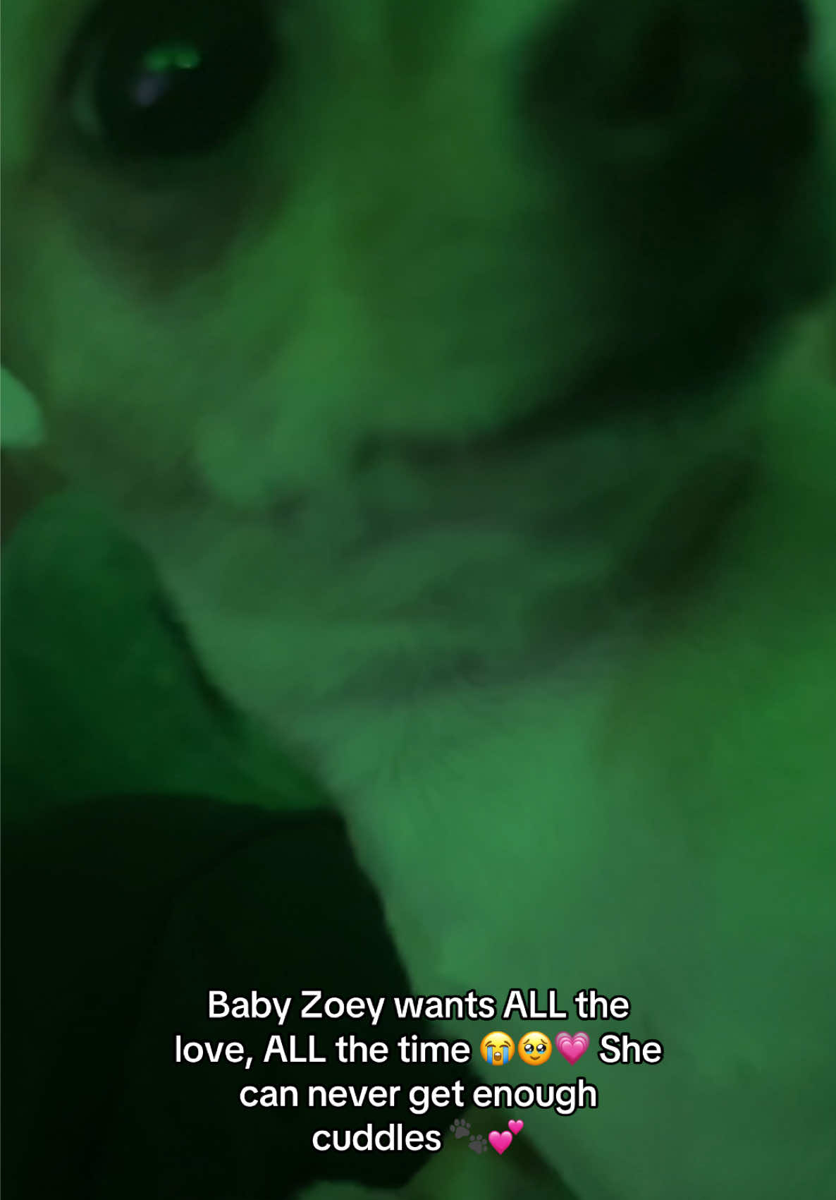@eatswithkellyyi