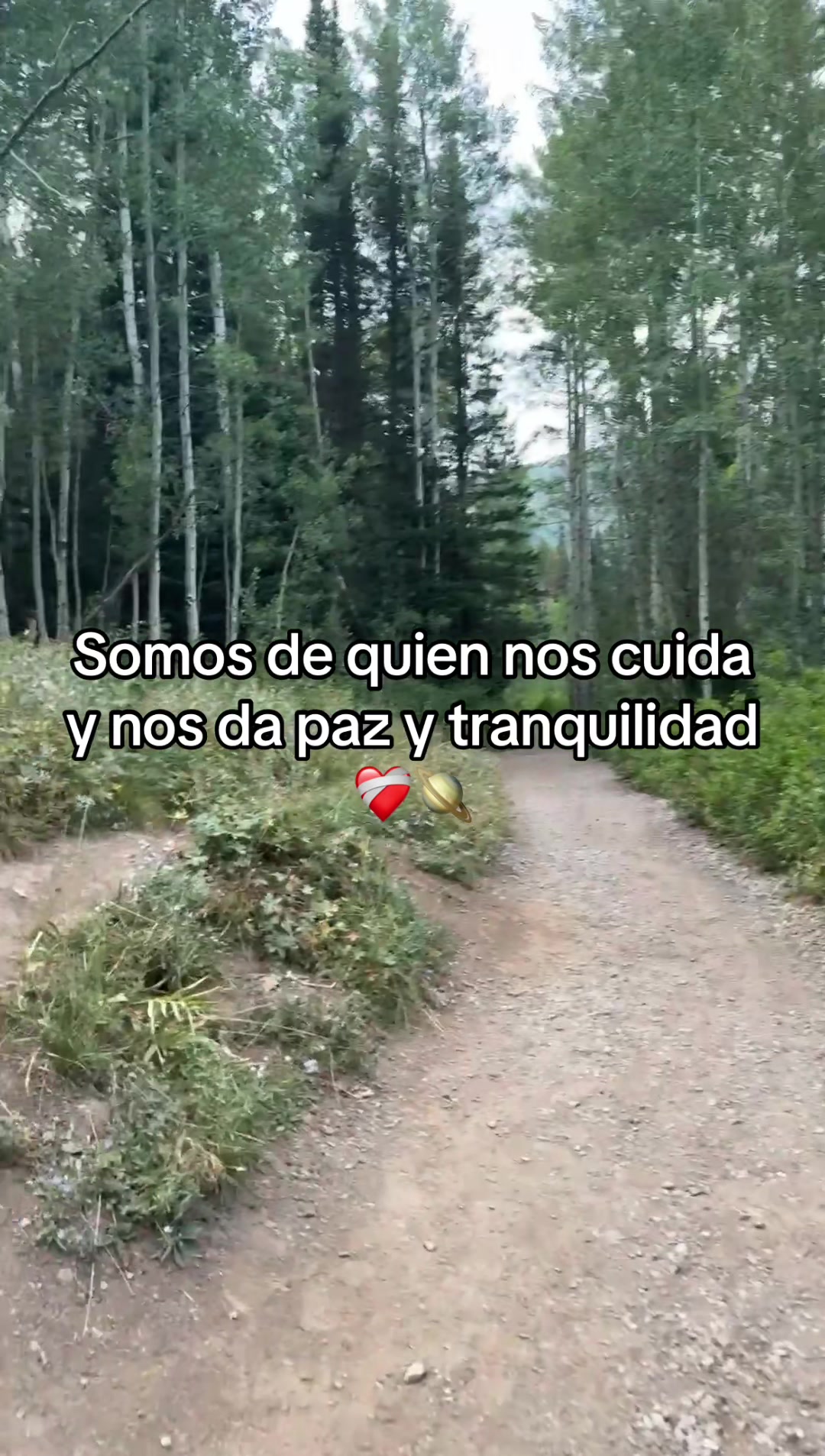 @Vicky