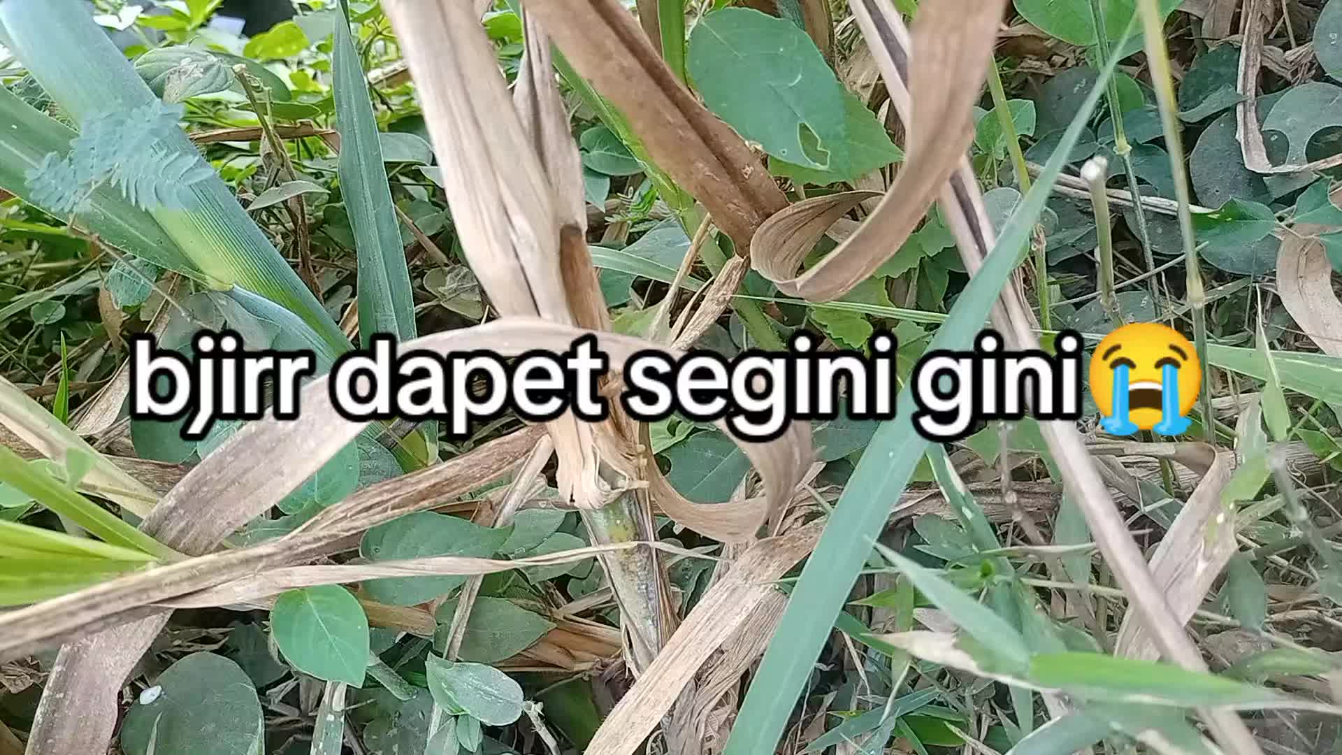 @smuabarang_ada