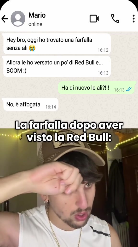 @vanciox