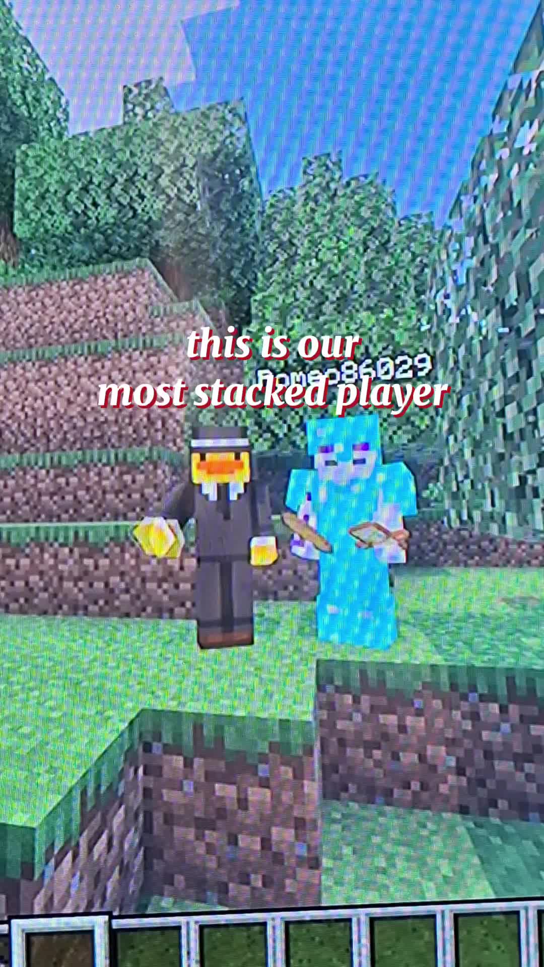 @totem smp