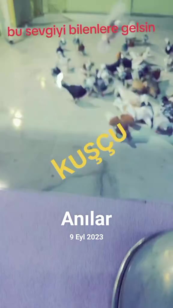 @Ahmet Akcakaya