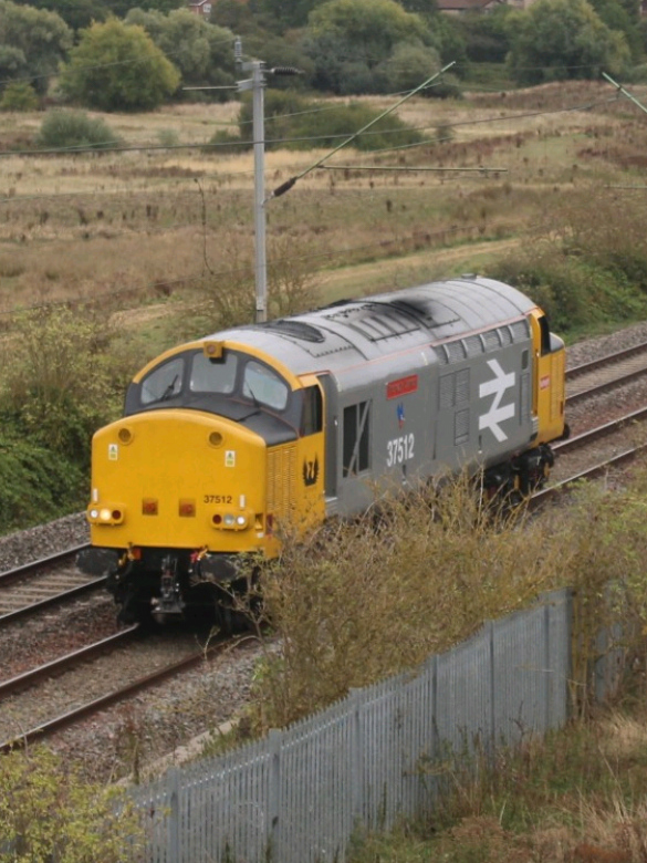 @the.local_trainfan