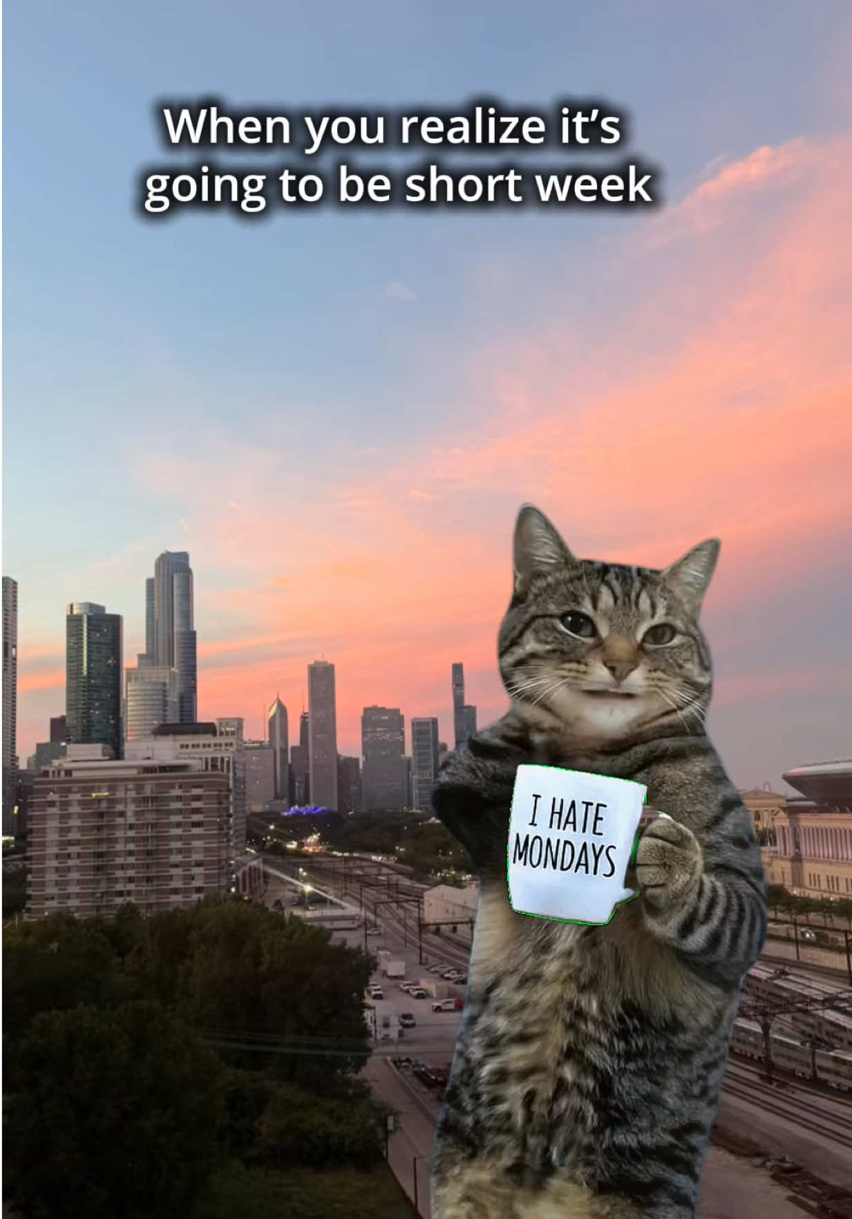 @Pooja Naik | Chicago Lifestyle