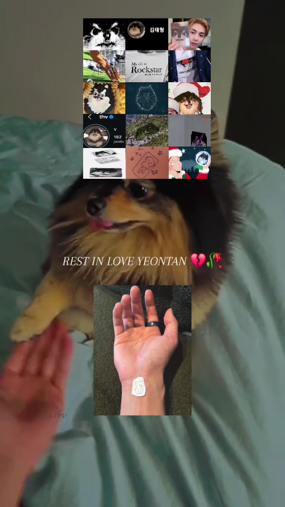 @r.gyeoul131 |rosie