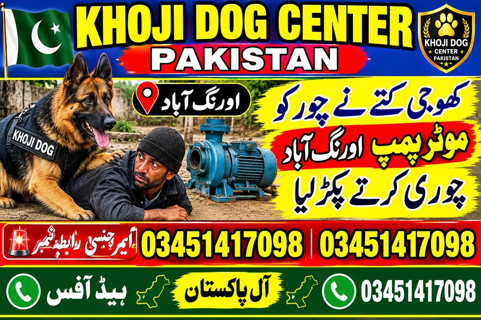 @khoji dog contact number