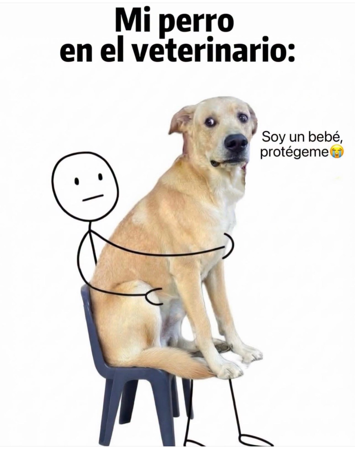 @Ay Miguel Miguelllllllll