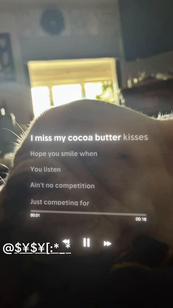 @kinfin