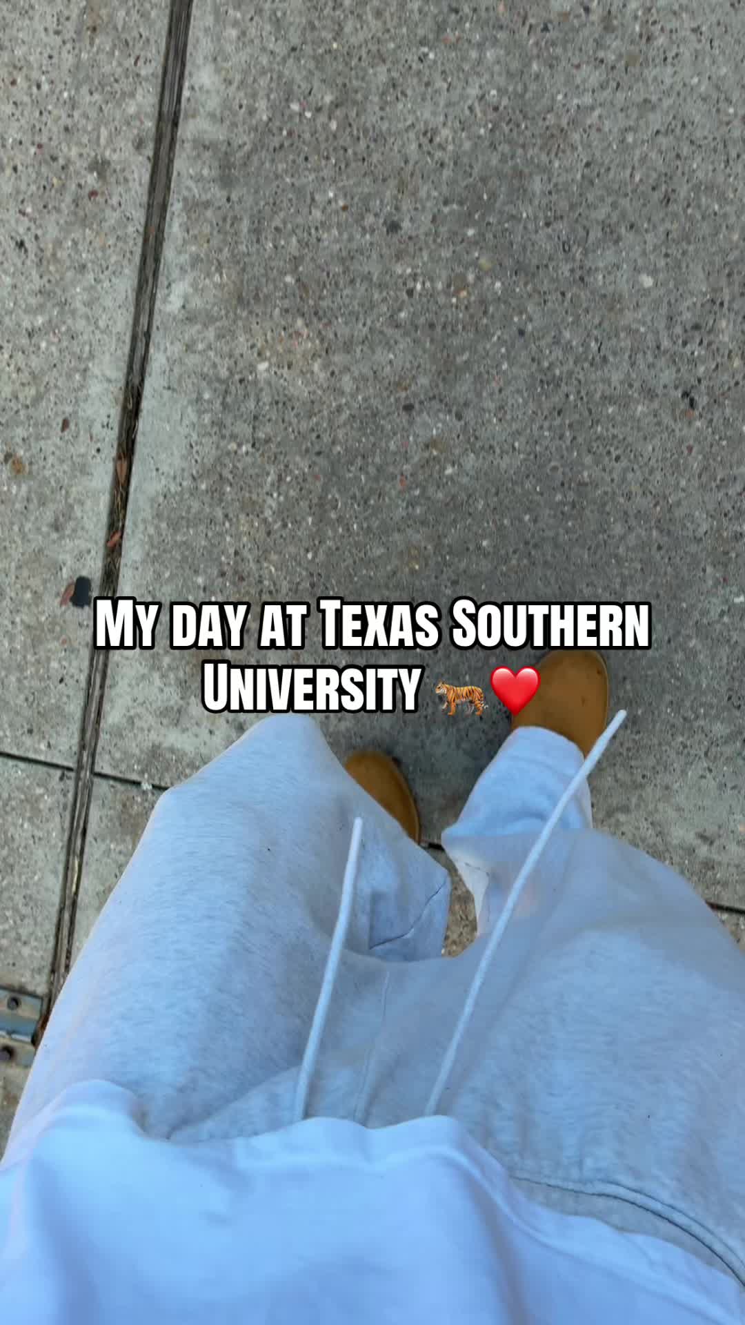 @🦈