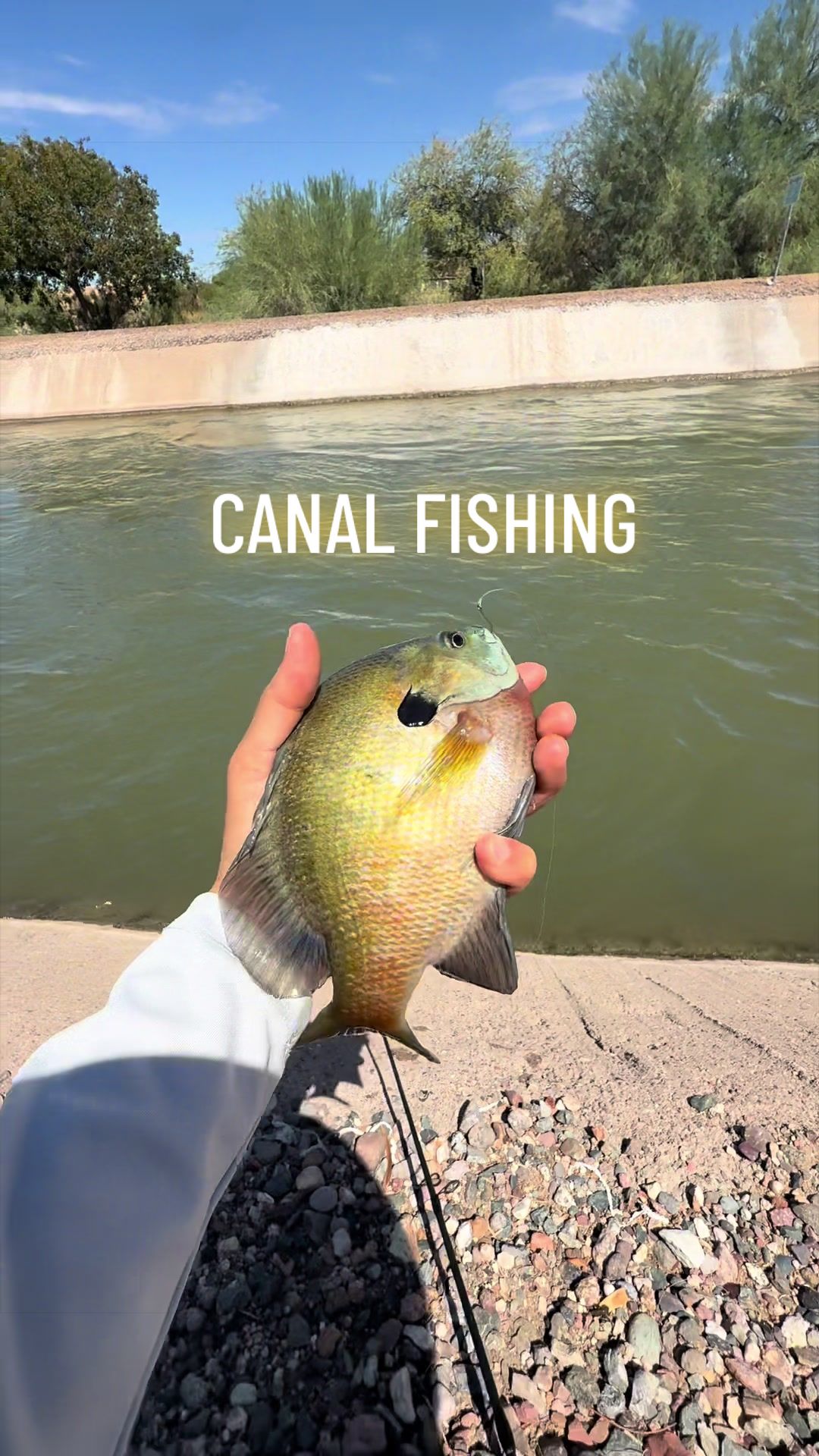 @Luu Nguyen Fishing