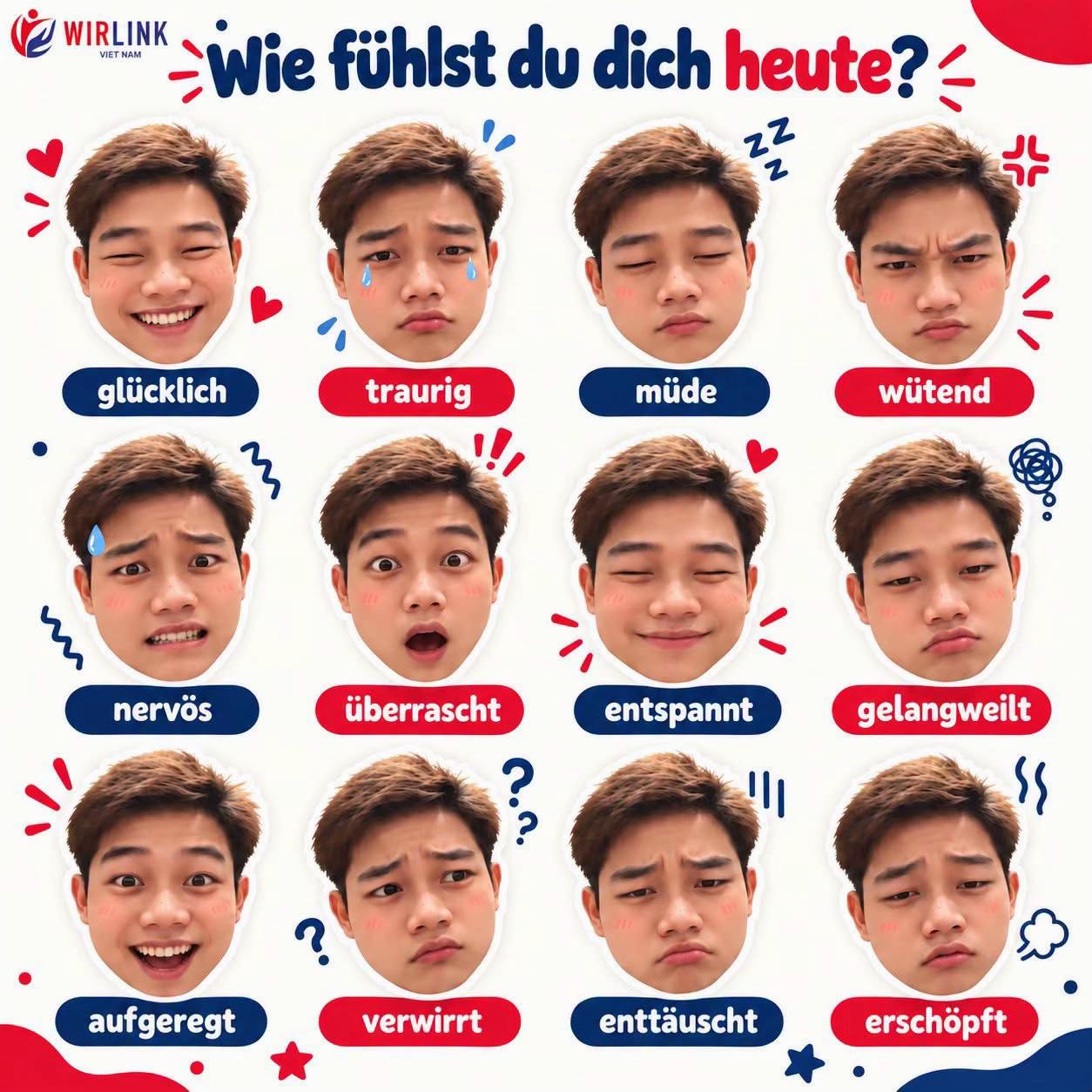@WirLink Việt Nam