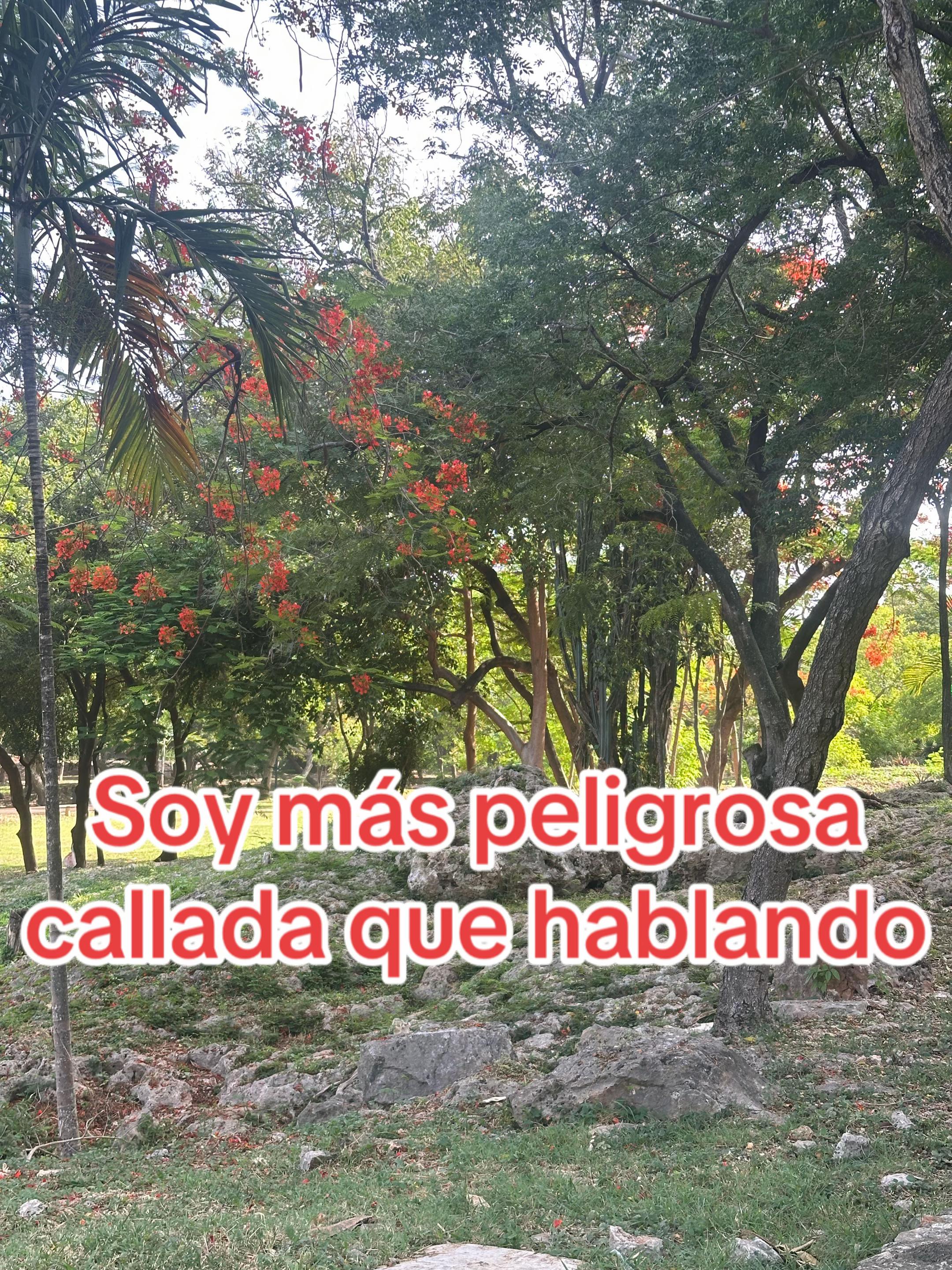 @Realidades ✏️🍎