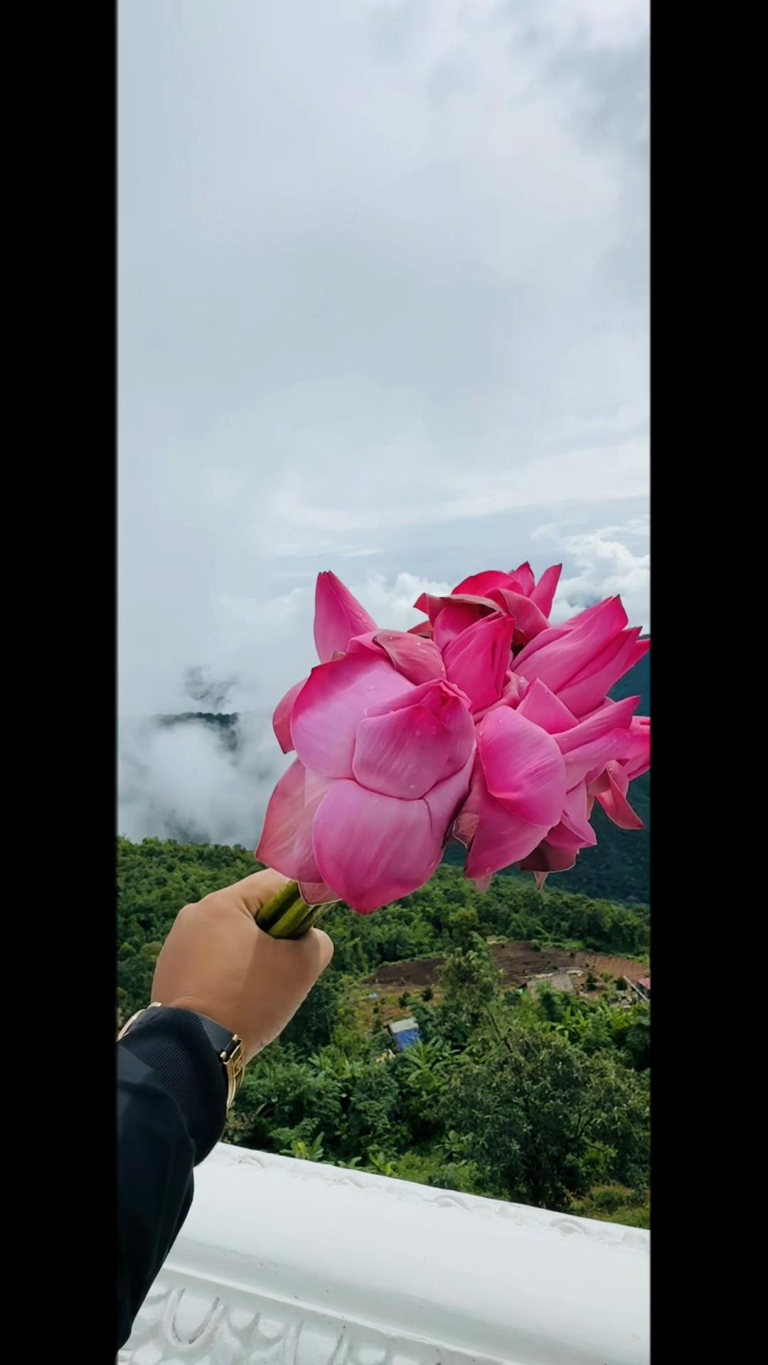 @rafiqvloge