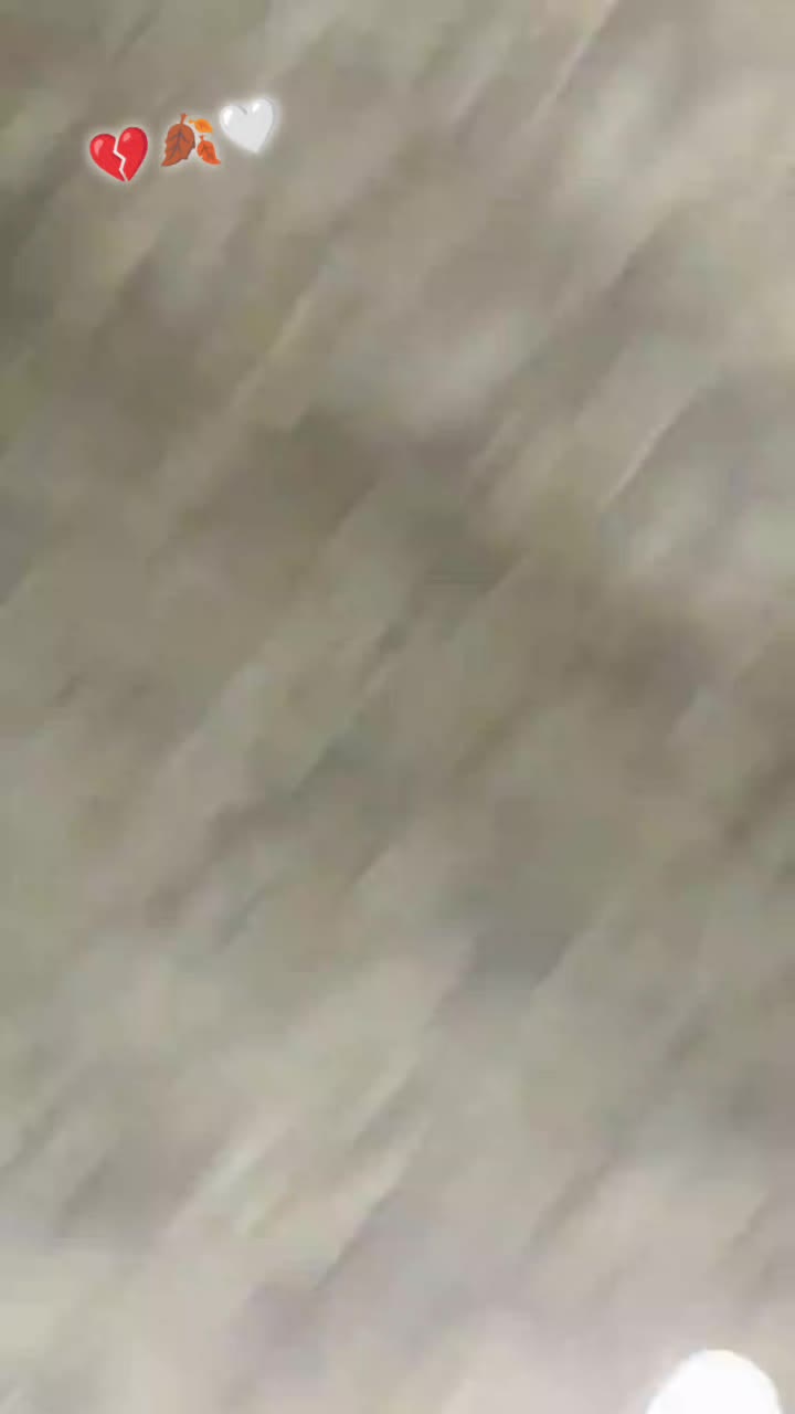 @Gul Rukhsar🤍