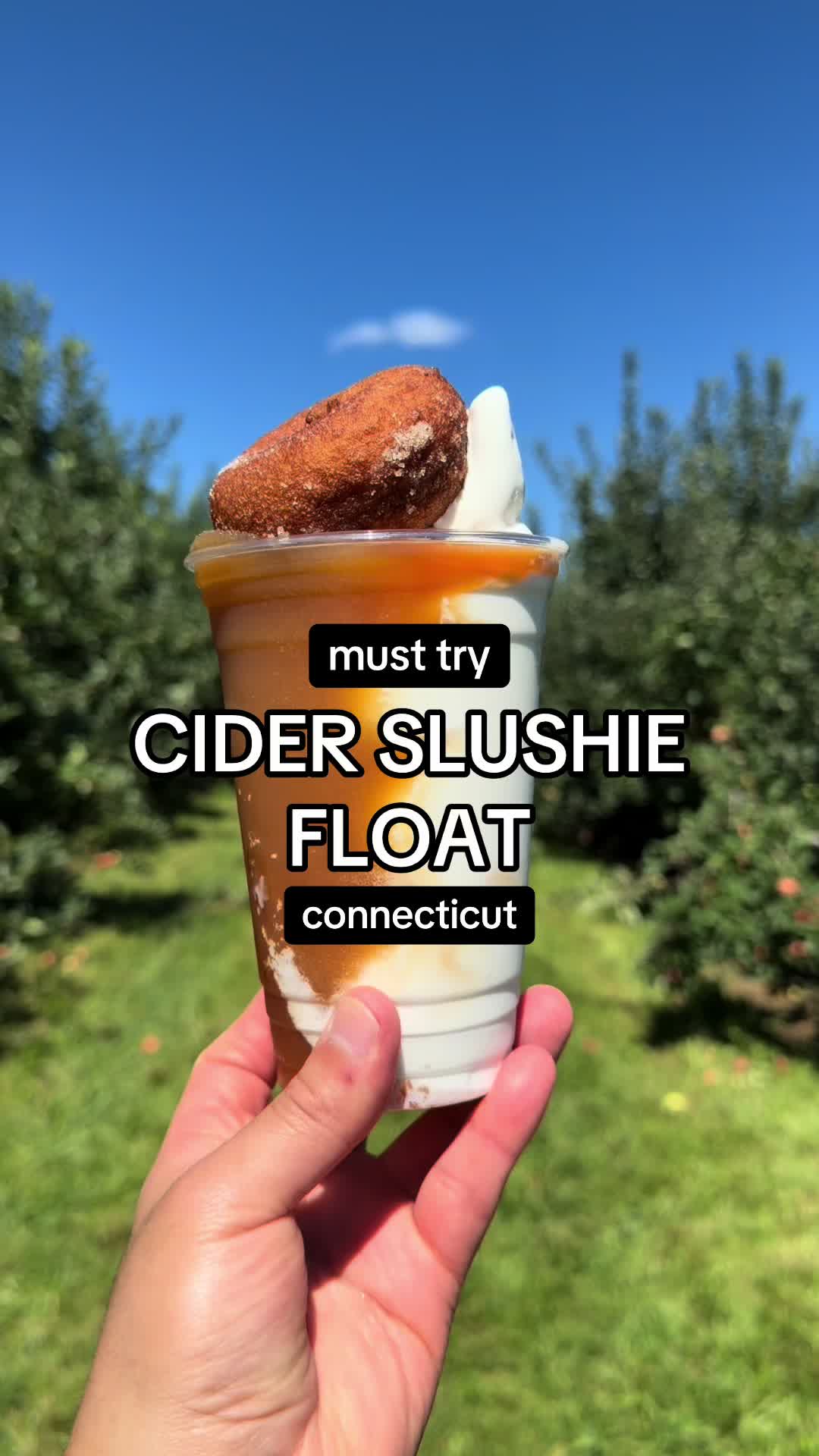 @tasteconnecticut