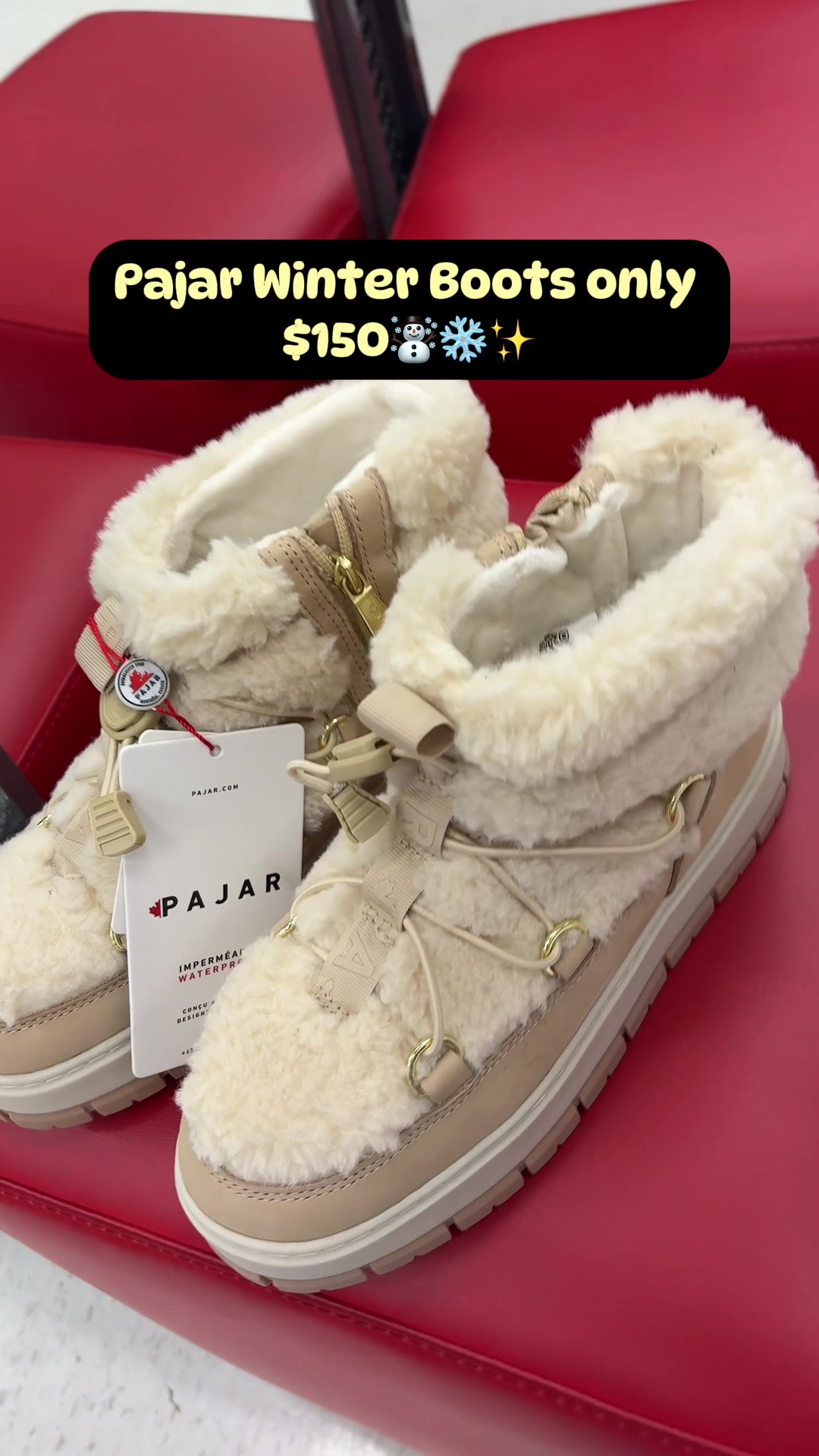 @Miss Princess Kittyy🛍️🎀✨