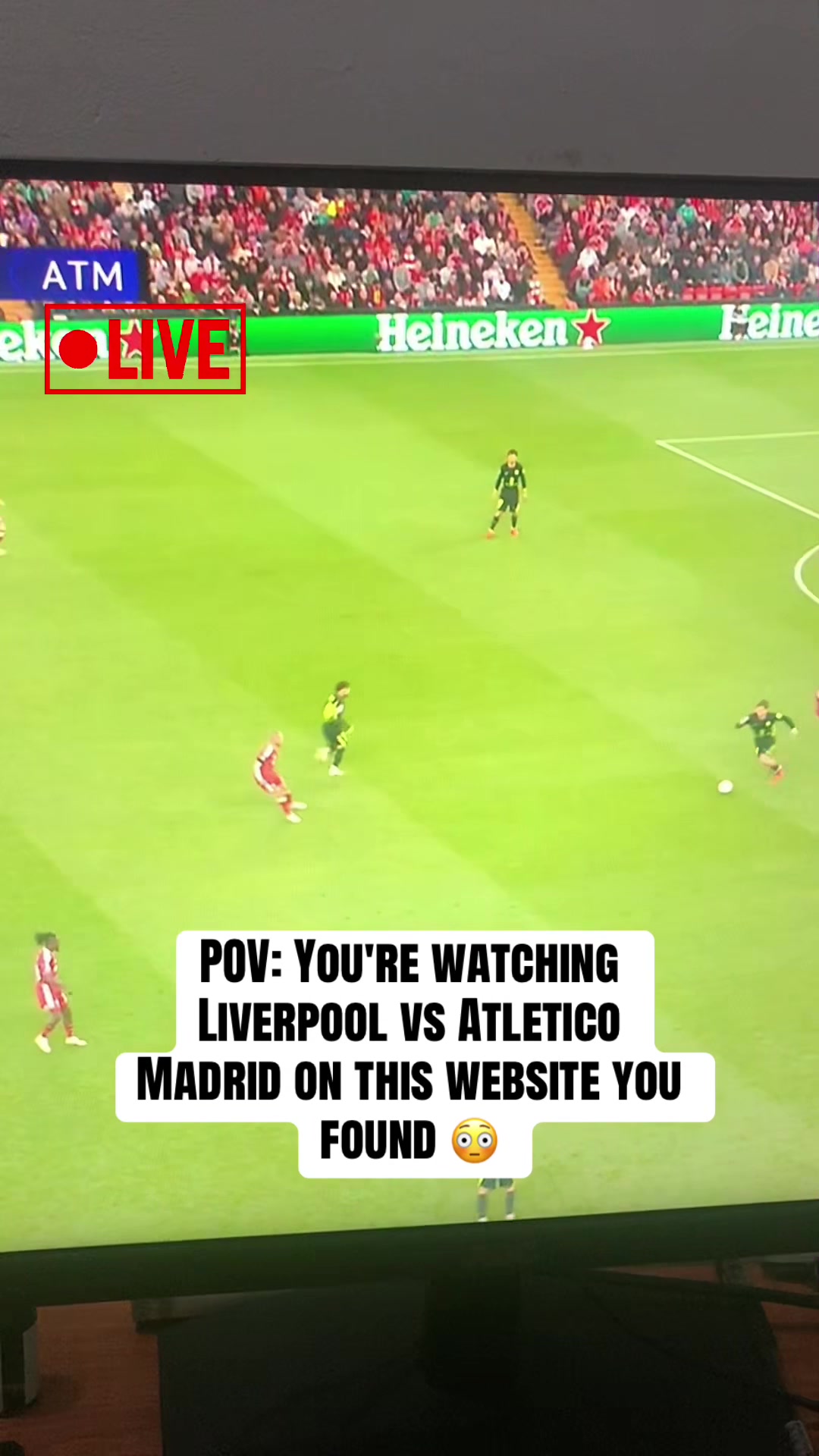 @goalrelay.com-1