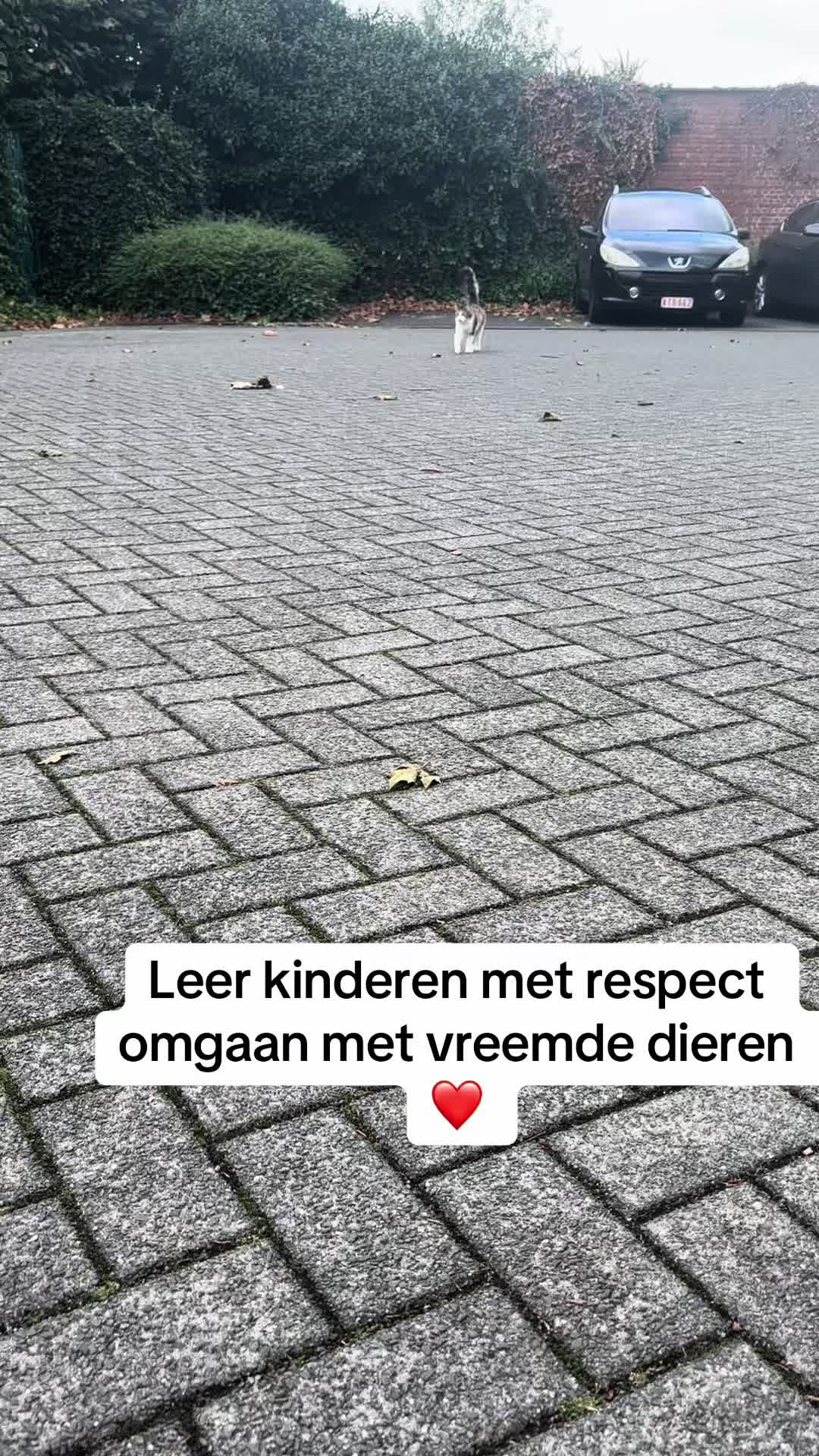 @Kelly Cnaepkens