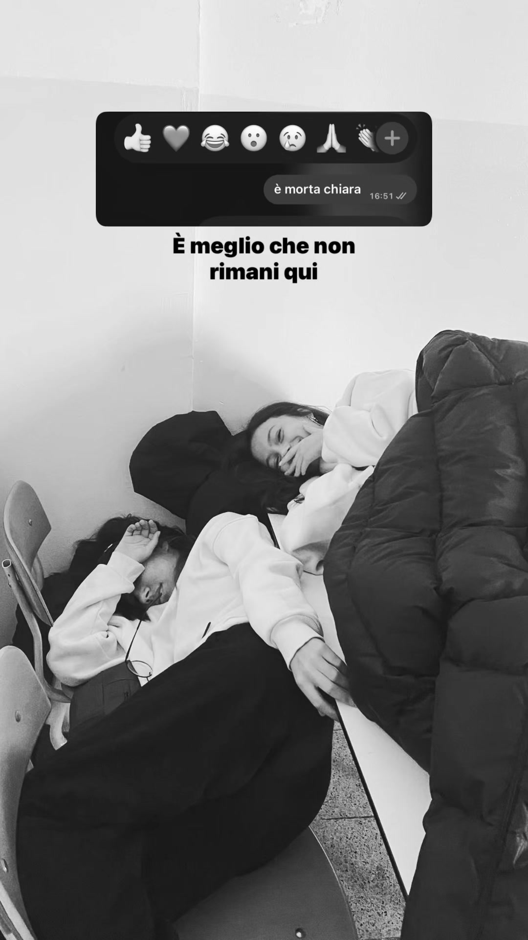 @giulia sarracino